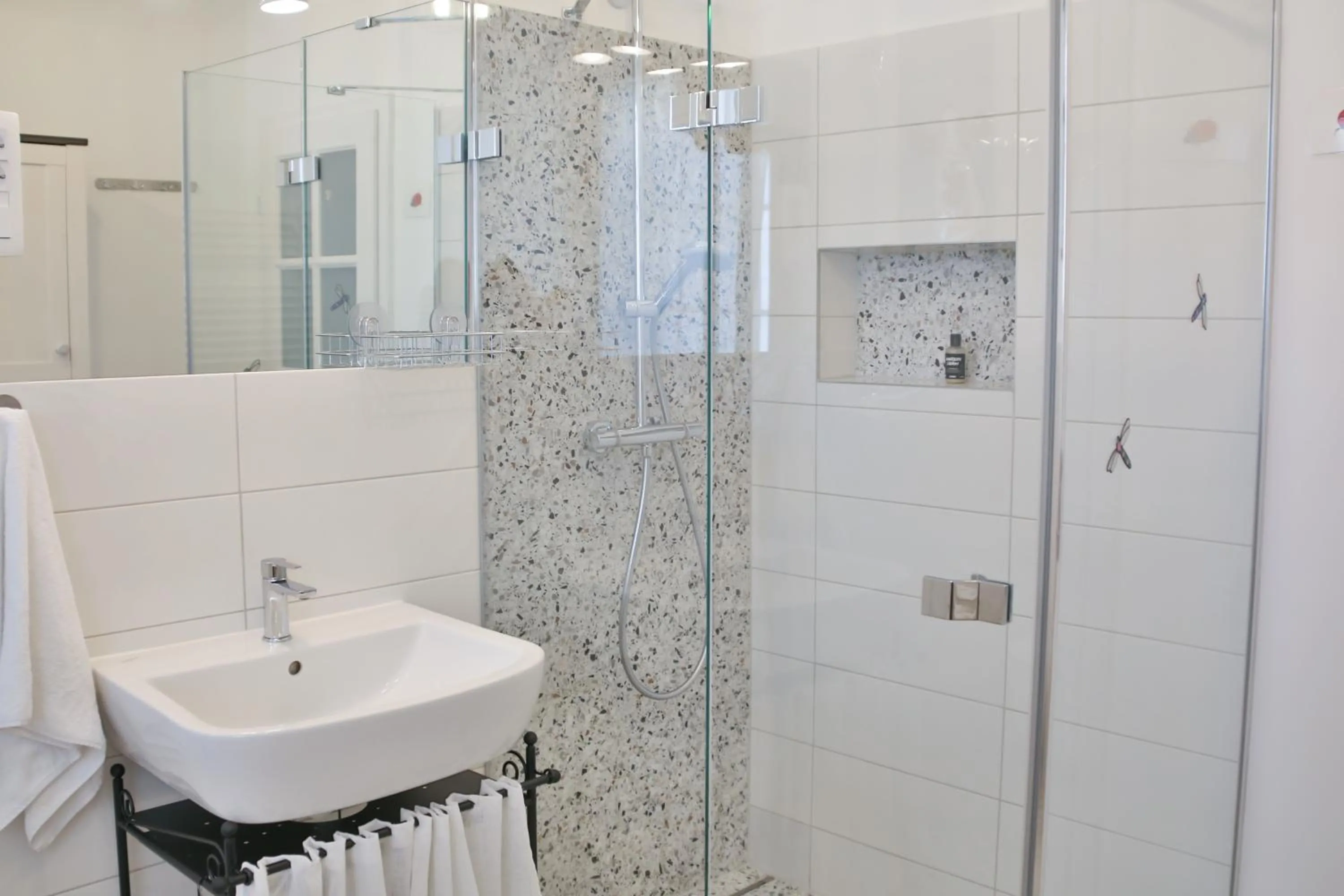 Shower in Historic Mexico Building Apartment