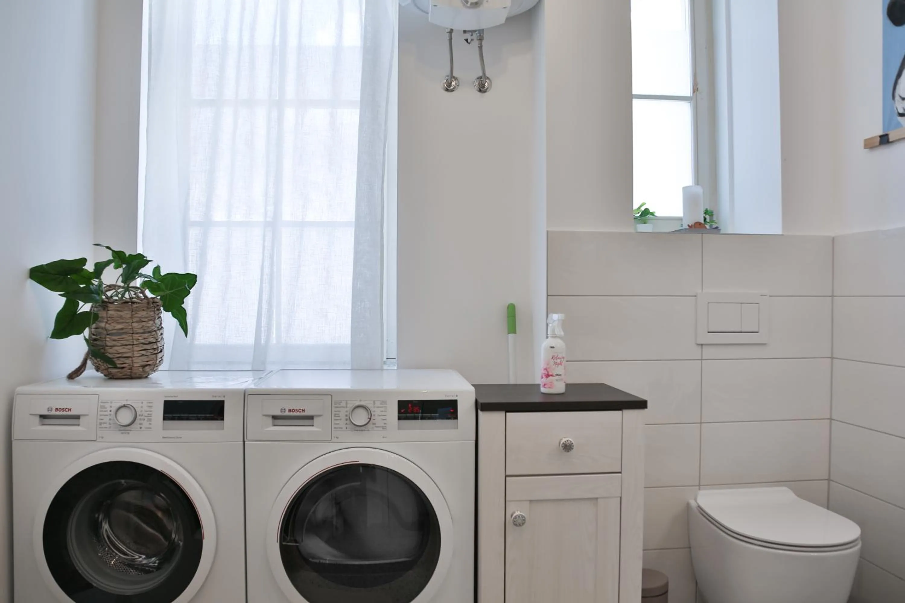 Toilet in Historic Mexico Building Apartment