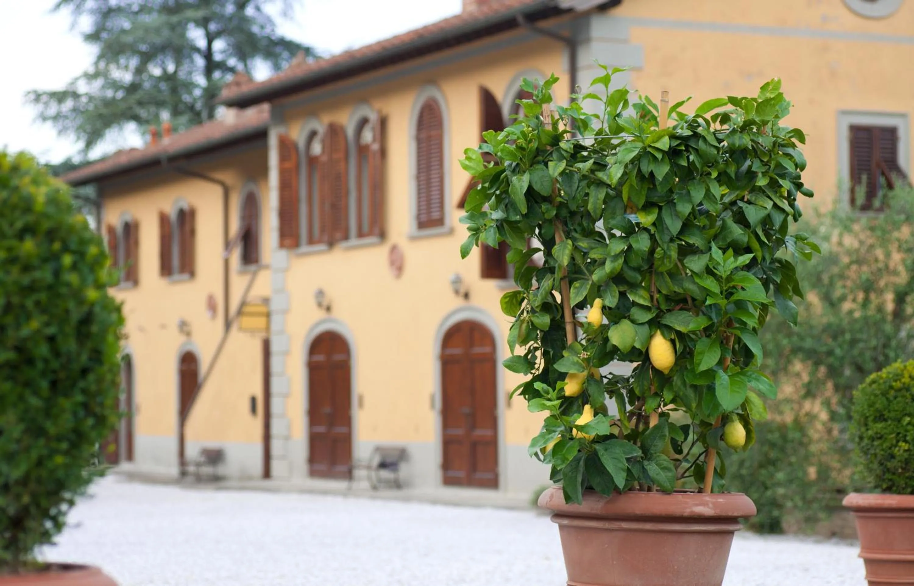 Facade/entrance in Relais Villa Belvedere