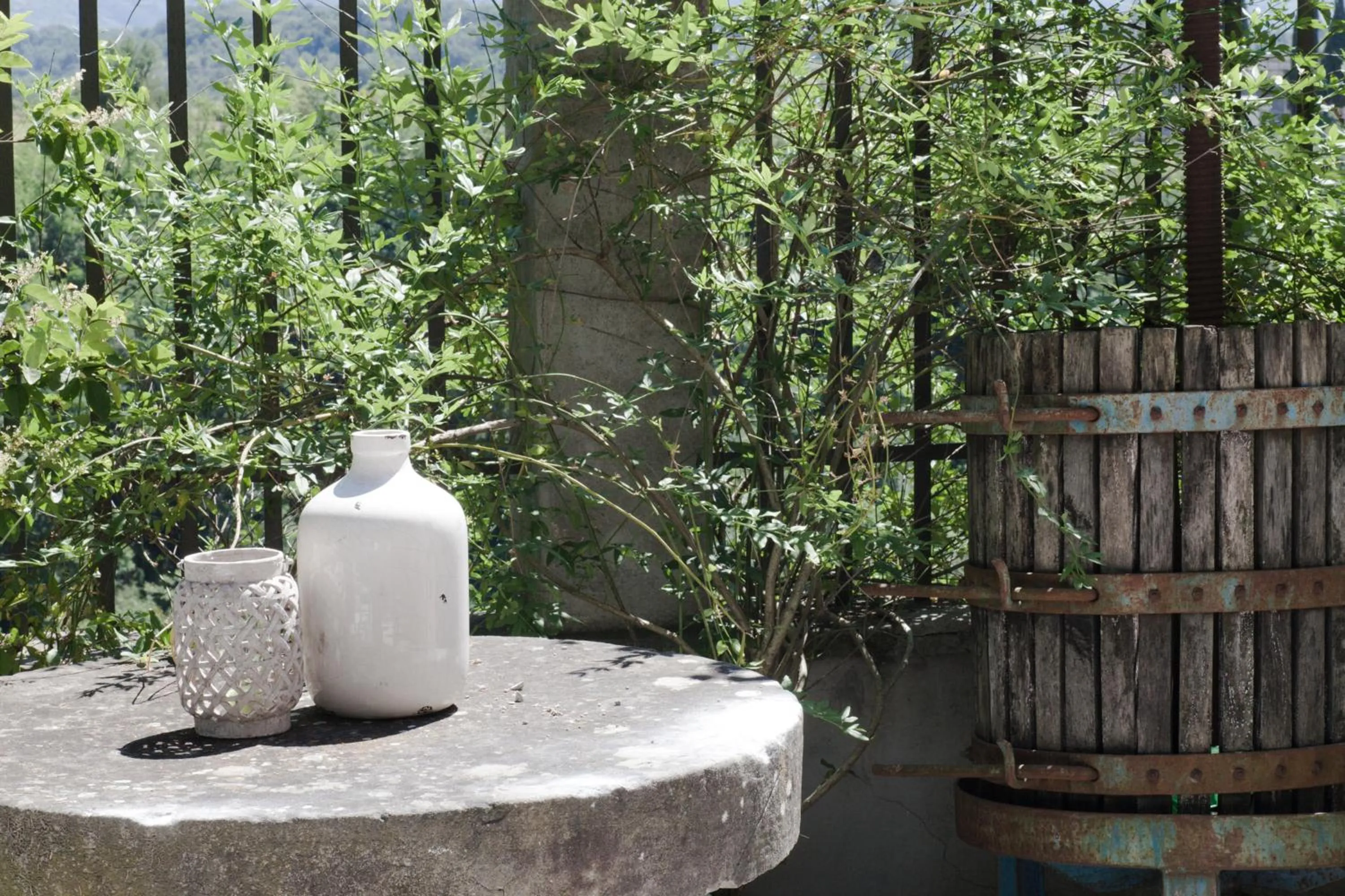 Garden in Relais Villa Belvedere