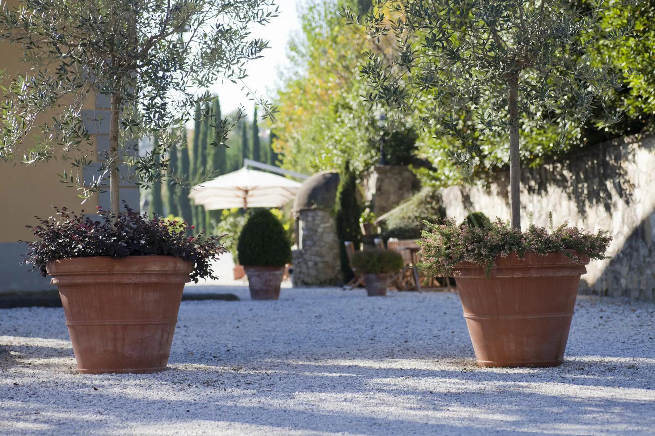Garden in Relais Villa Belvedere