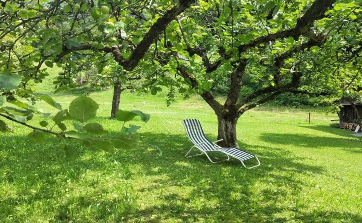Garden in Landhaus Beßler