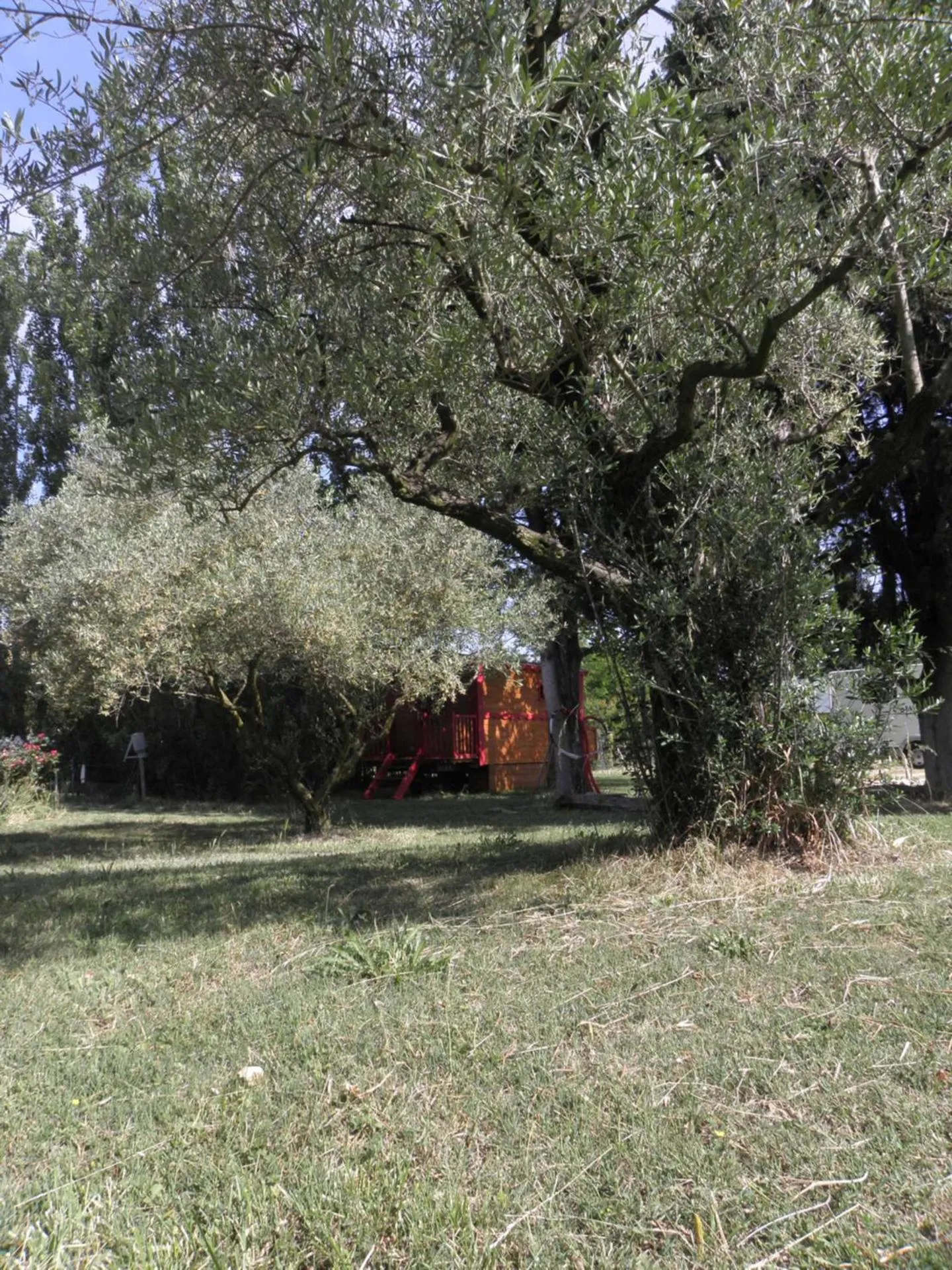 Garden view in Provence Roulottes