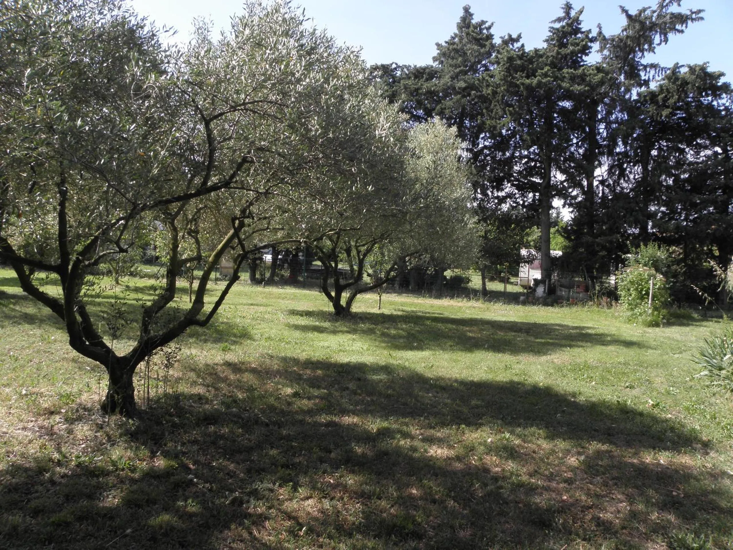 Garden view in Provence Roulottes