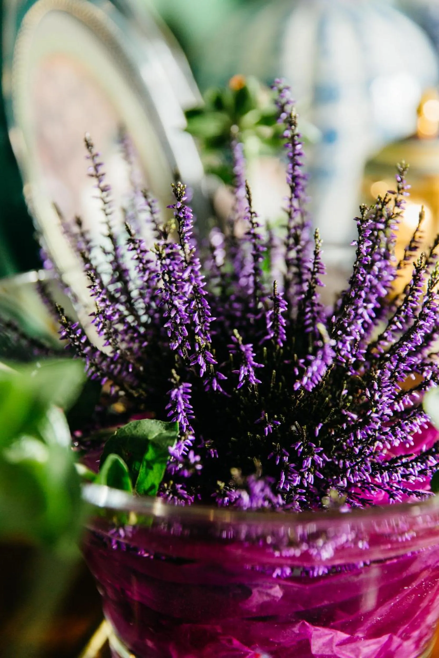 Decorative detail in Alltavona House
