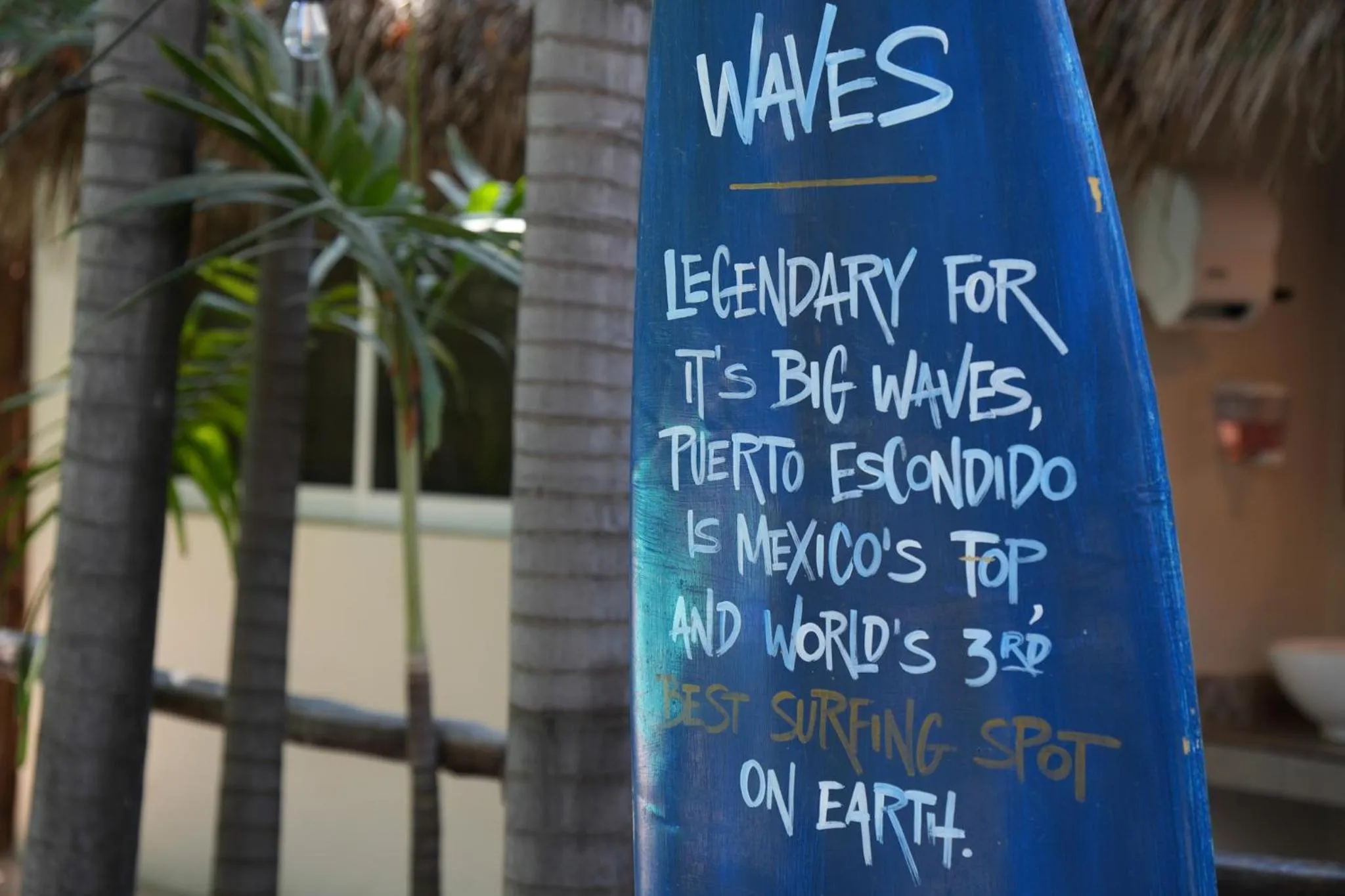 Other in Nílu Puerto Escondido by Selina