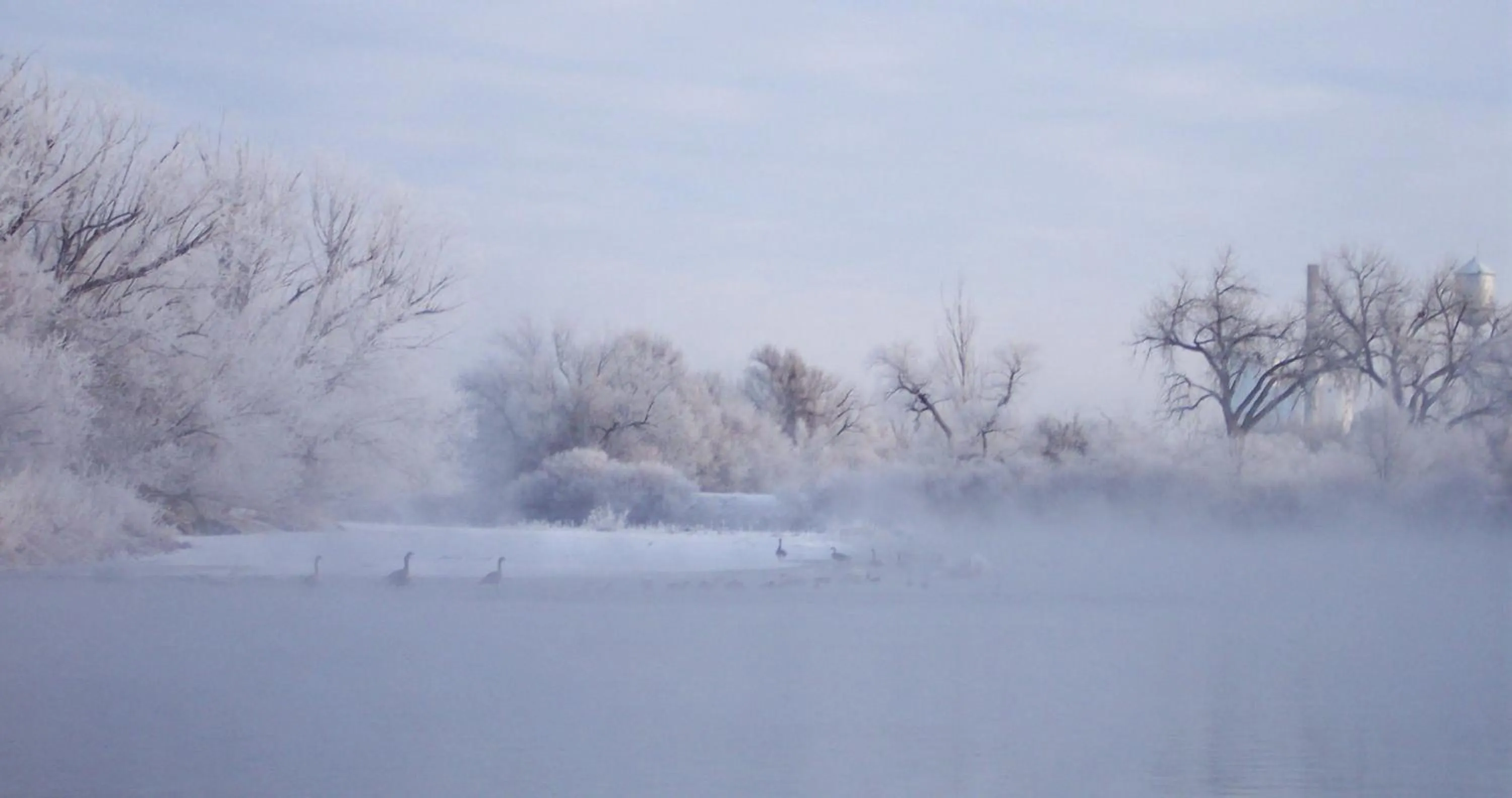 Other in Candlewood Suites Denver Northeast - Brighton, an IHG Hotel