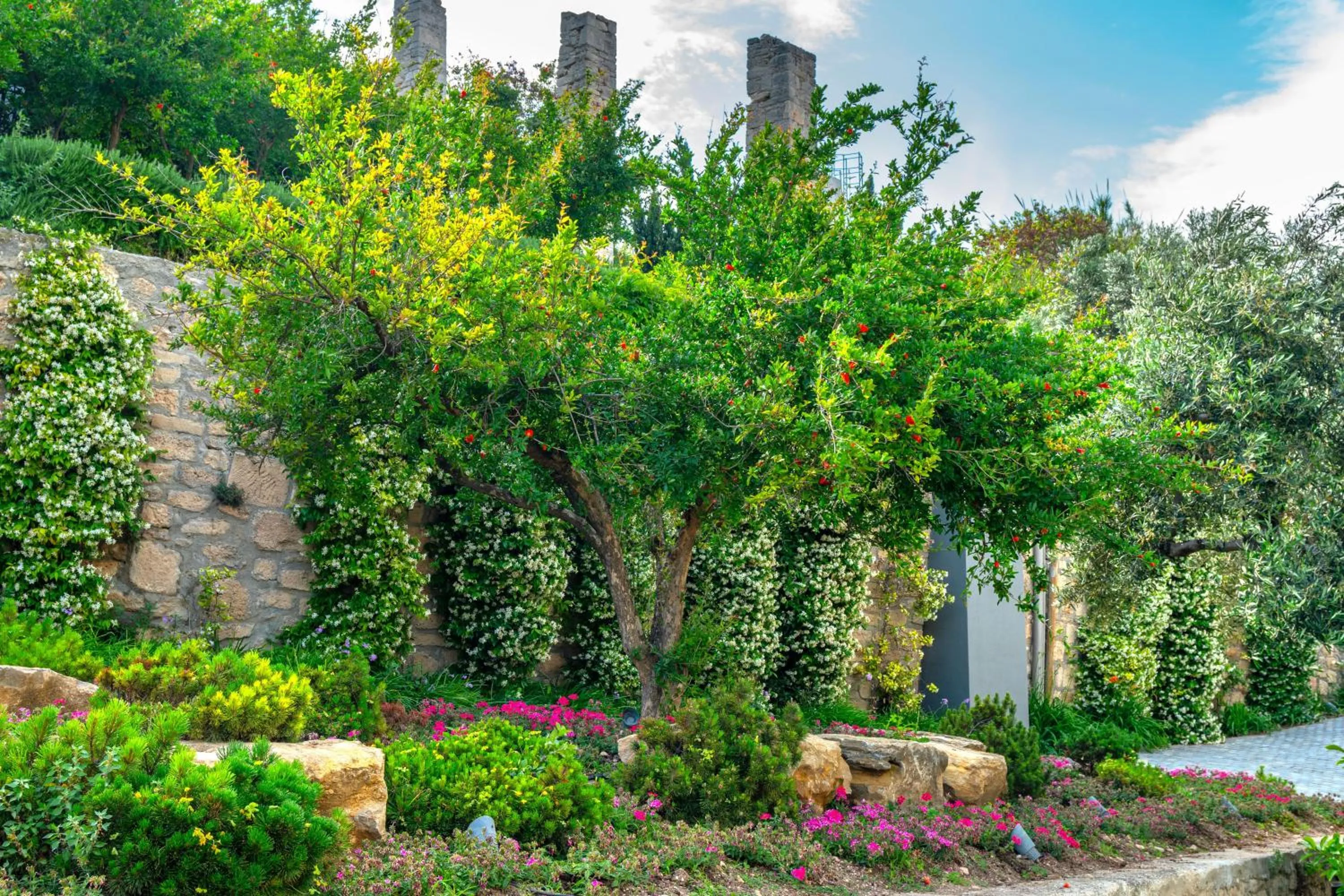 Garden in Ammon Zeus Luxury Beach Hotel