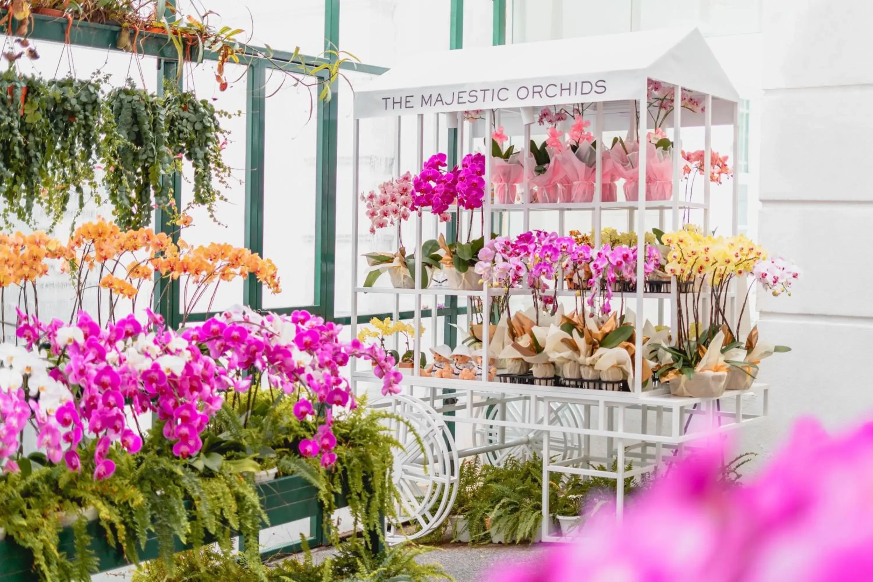 Restaurant/places to eat in The Majestic Hotel Kuala Lumpur, Autograph Collection Restaurant/places to eat in The Majestic Hotel Kuala Lumpur, Autograph Collection