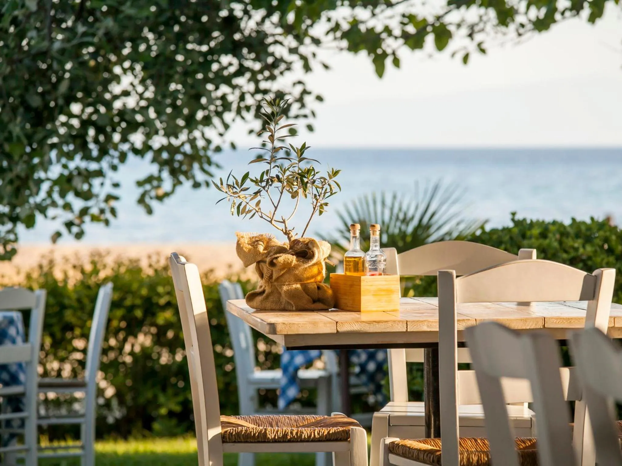 Meals in Akti Retzika