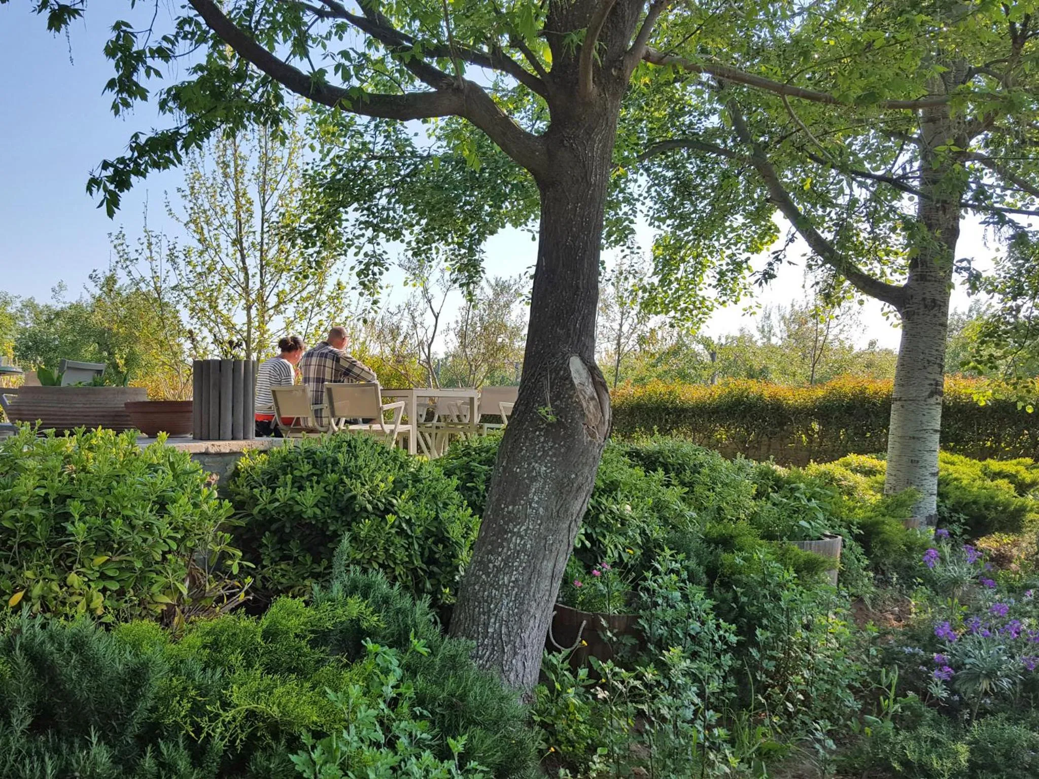 Breakfast in Akti Retzika