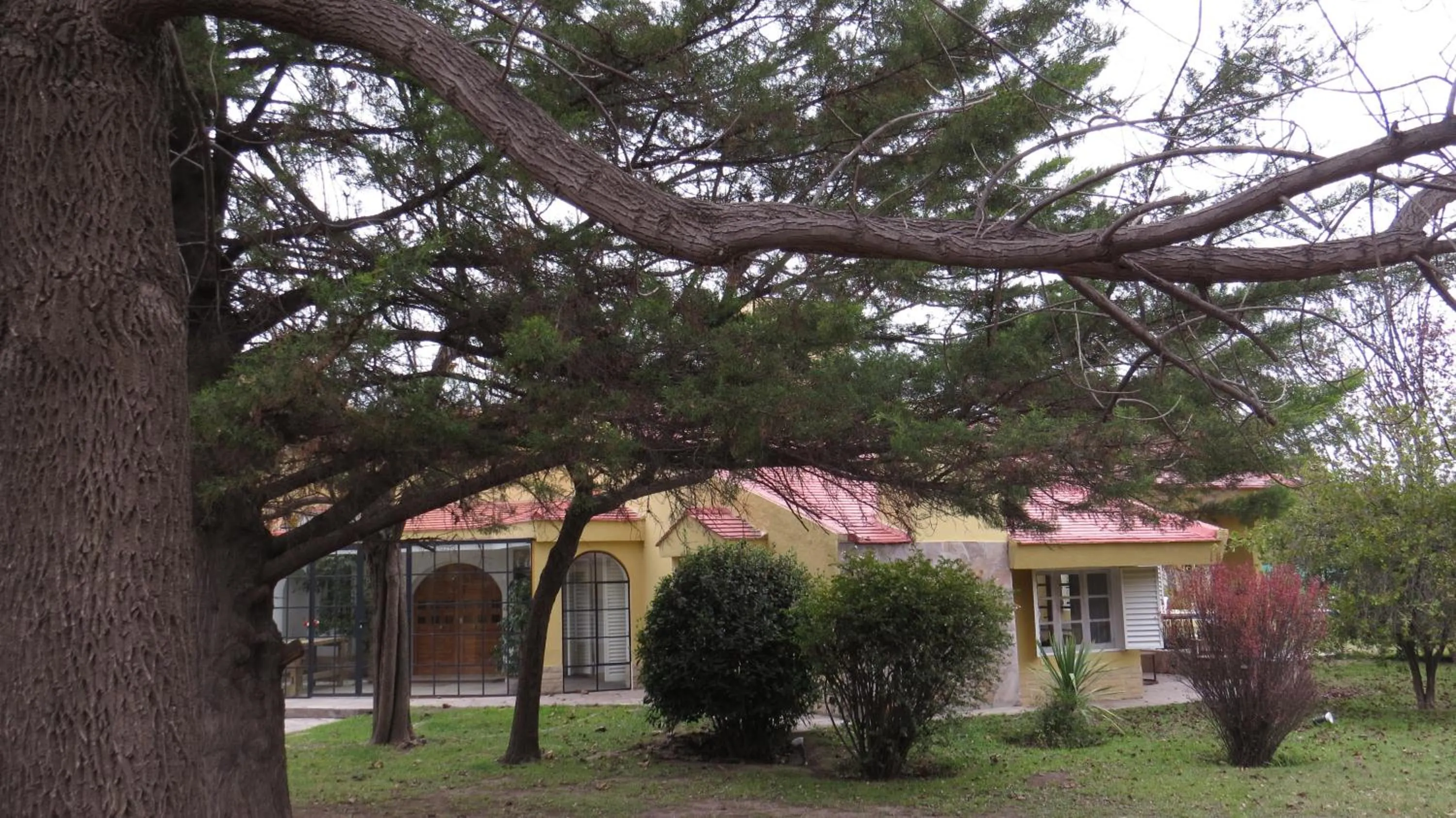 Property building in La Masia