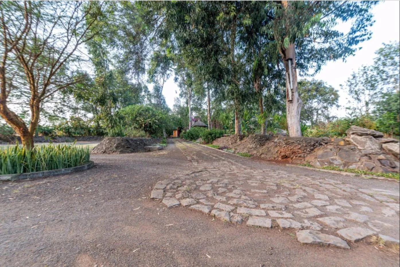 Street view in Hotel Troy