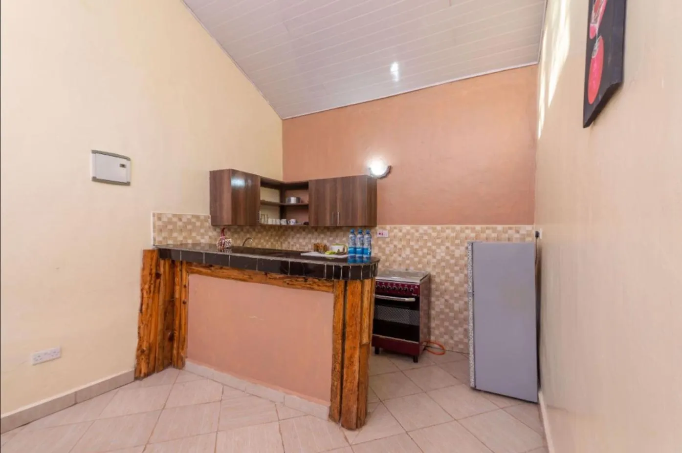 Kitchen or kitchenette in Hotel Troy