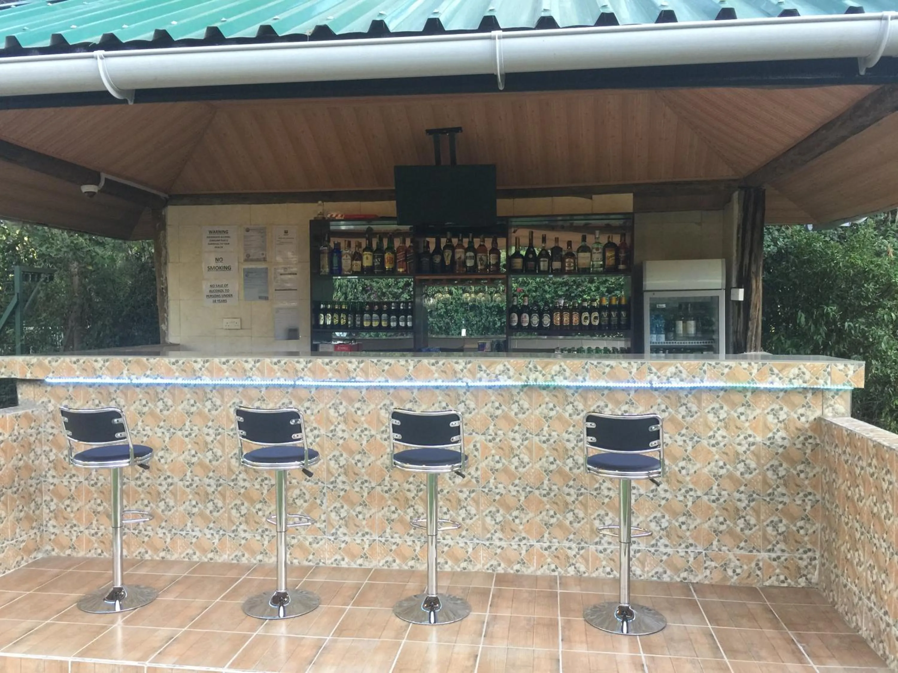 Lounge or bar in Hotel Troy