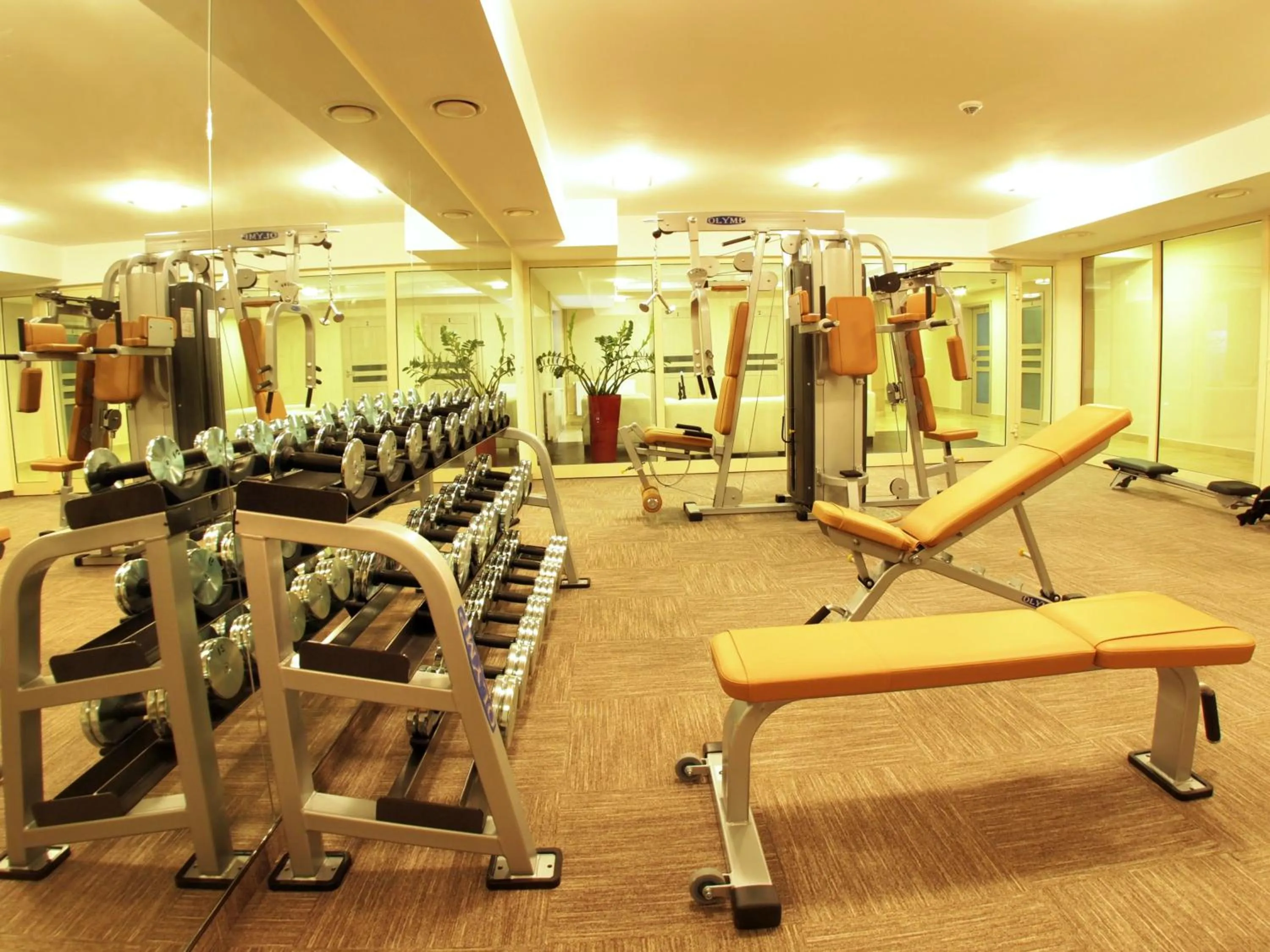 Activities in Hotel Austeria Conference & Spa