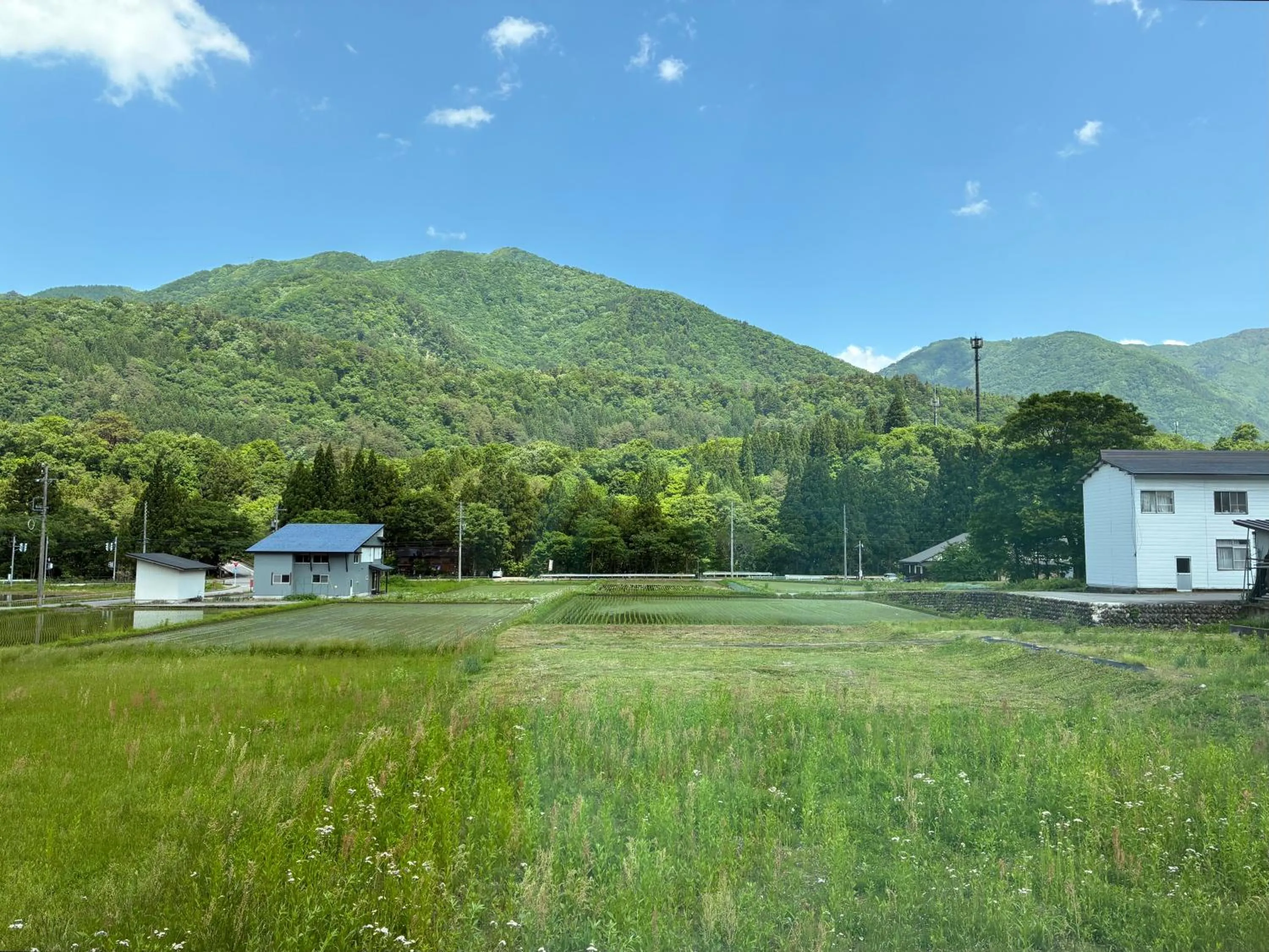 Spring in GuestHouse Shirakawa-Go INN