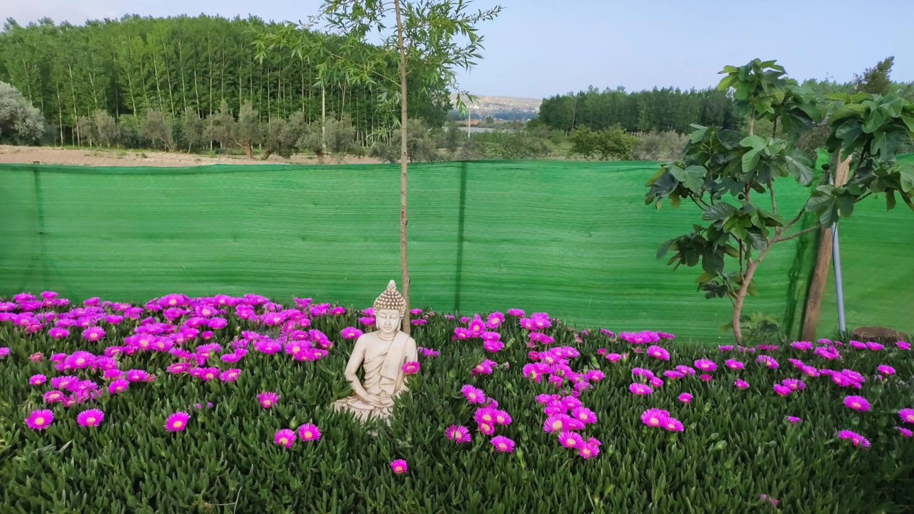 Cuevas Cortijo Gachas