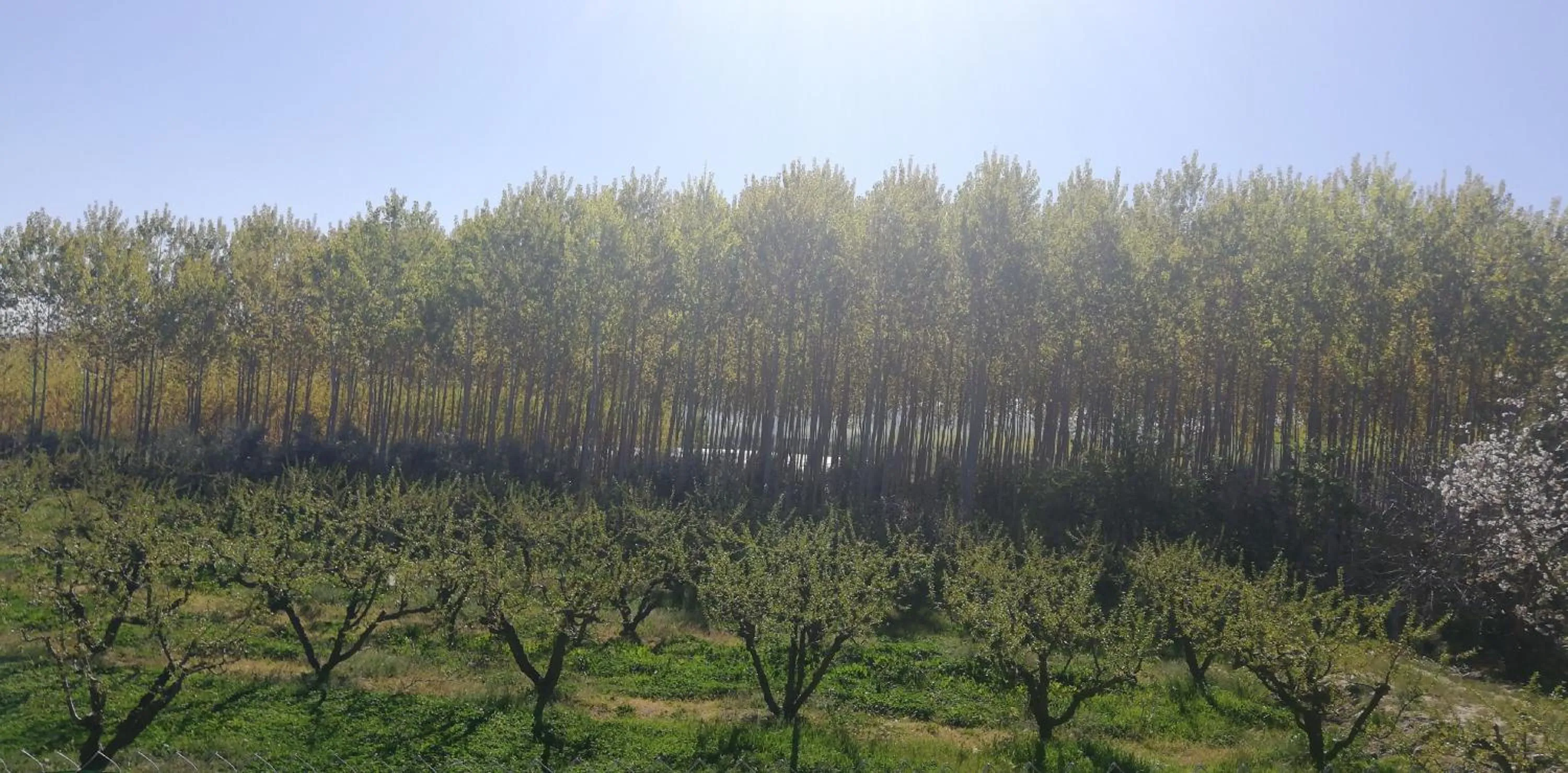Spring in Cuevas Cortijo Gachas