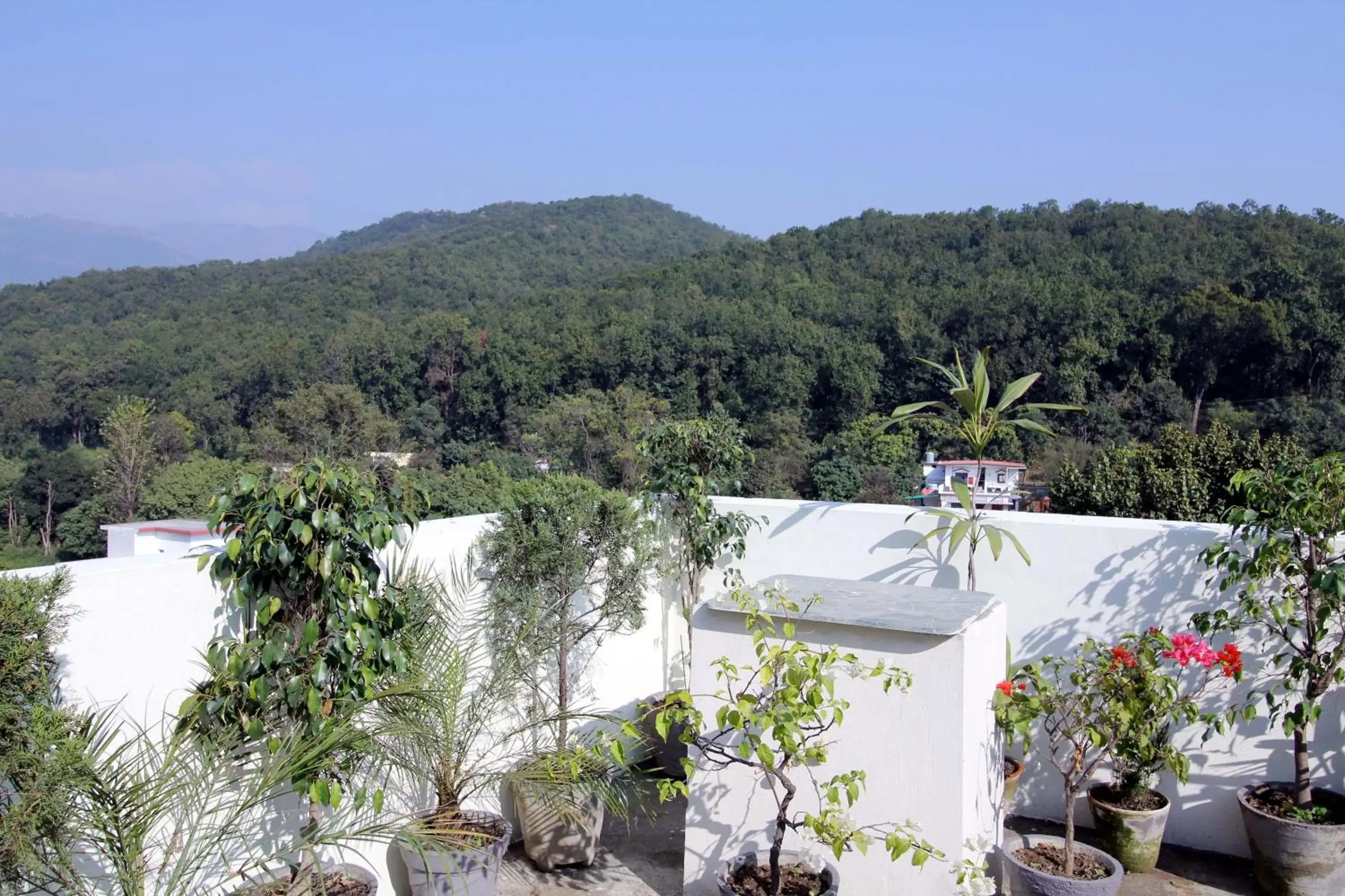 Mountain view in Hotel Forest Avenue - Best Luxury Hotel in Dehradun Mountain view in Hotel Forest Avenue - Best Luxury Hotel in Dehradun