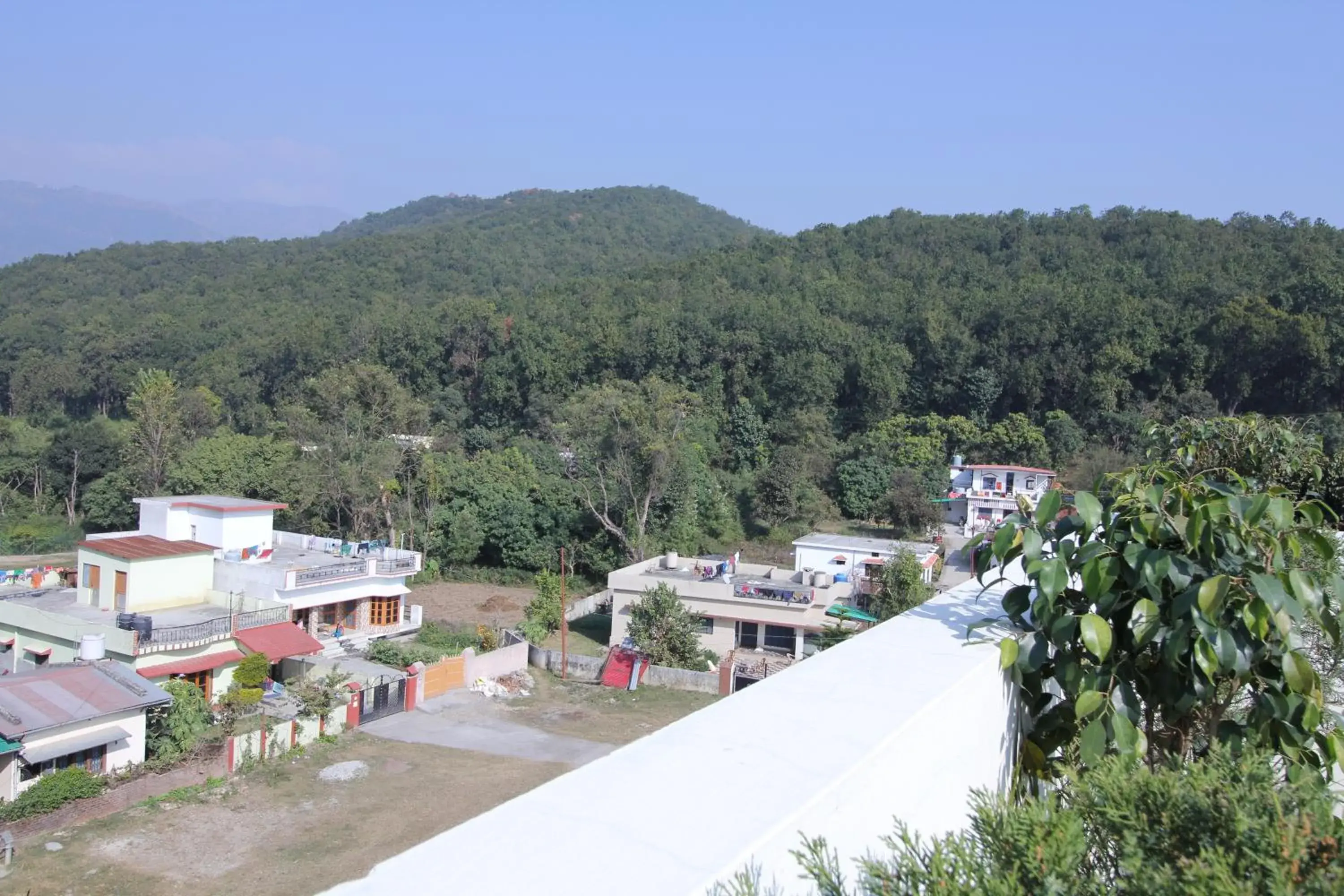 Street view in Hotel Forest Avenue - Best Luxury Hotel in Dehradun Street view in Hotel Forest Avenue - Best Luxury Hotel in Dehradun