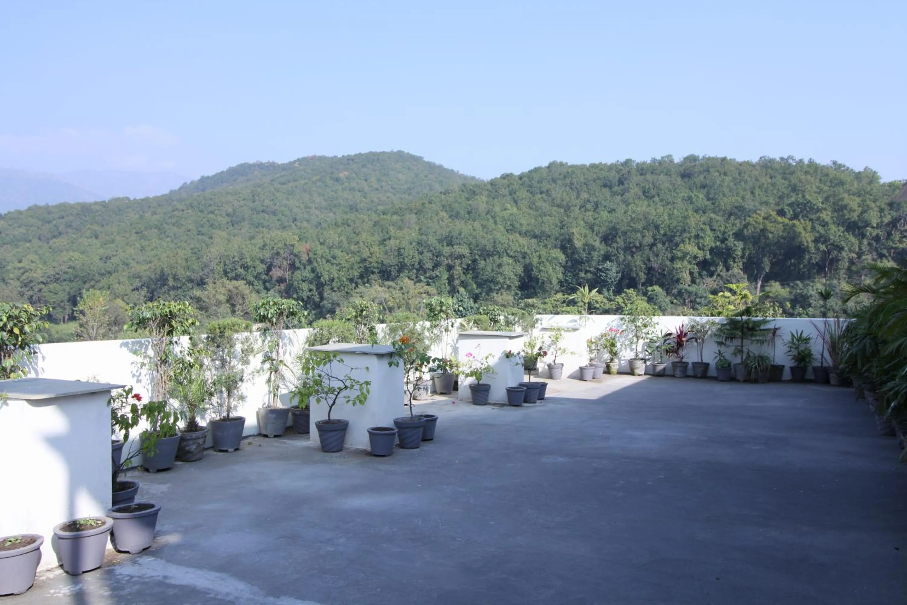 Balcony/Terrace in Hotel Forest Avenue - Best Luxury Hotel in Dehradun