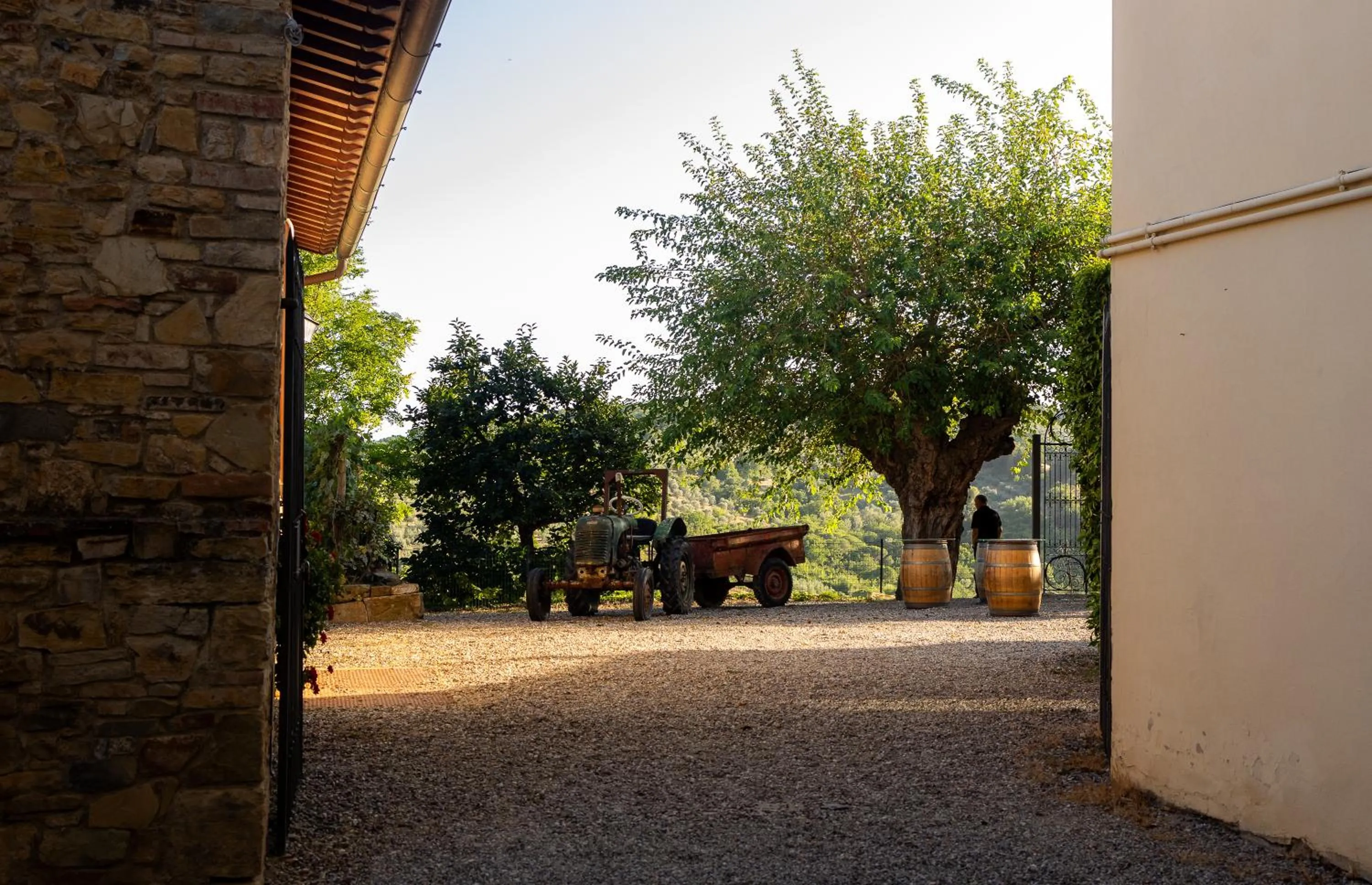 Restaurant/places to eat in Relais Villa Olmo - Place of Charme