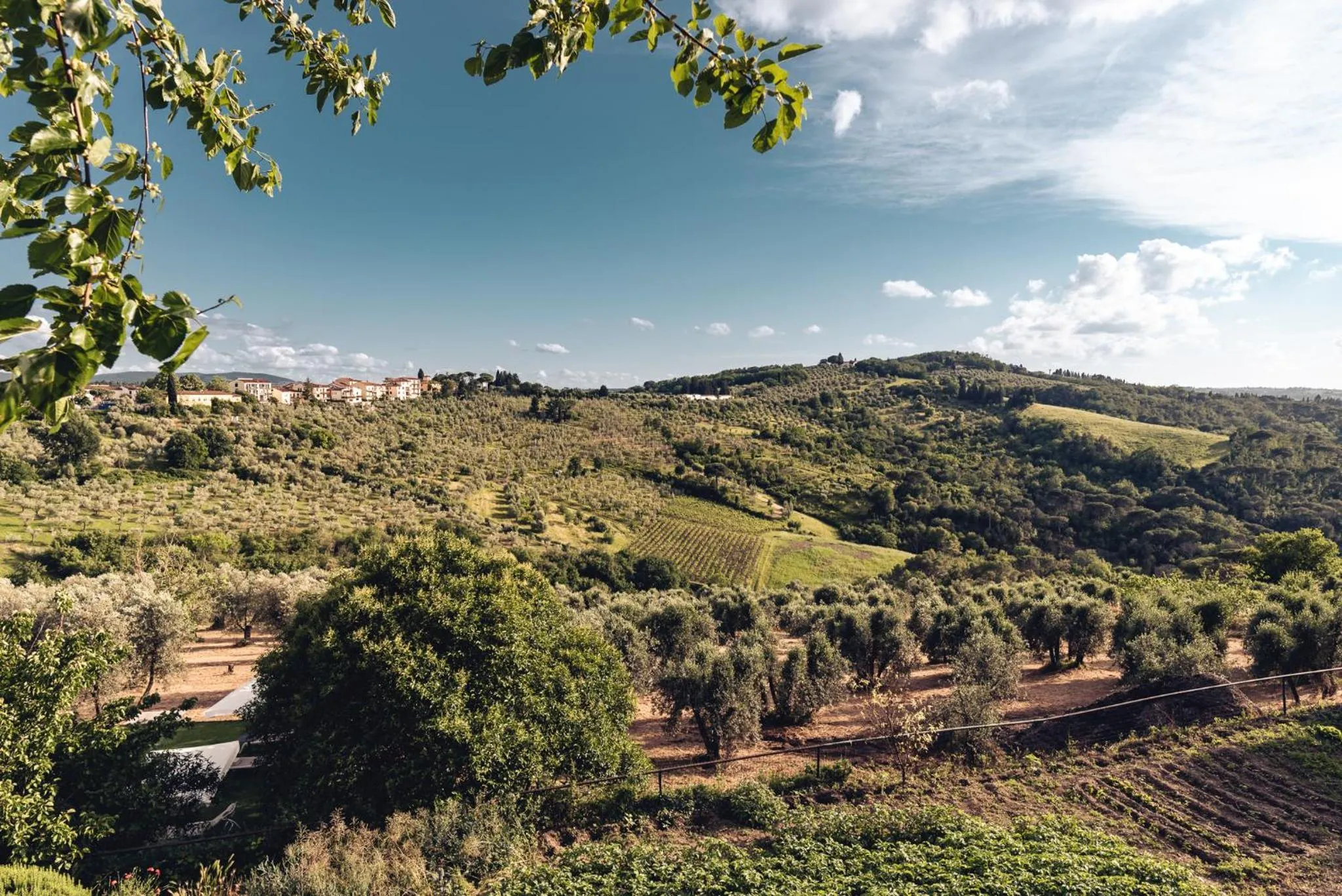 Natural landscape in Relais Villa Olmo - Place of Charme