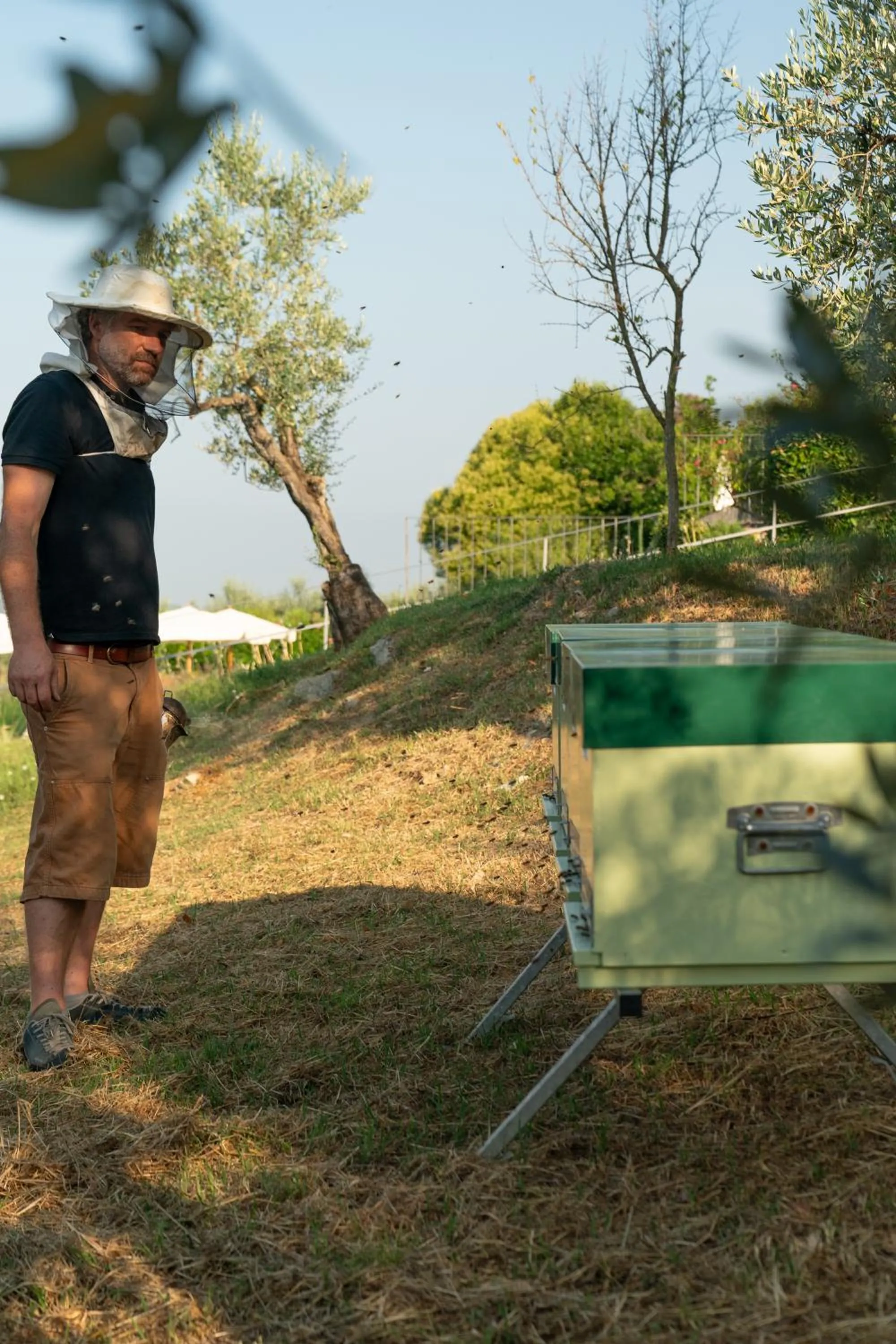 Garden in Relais Villa Olmo - Place of Charme