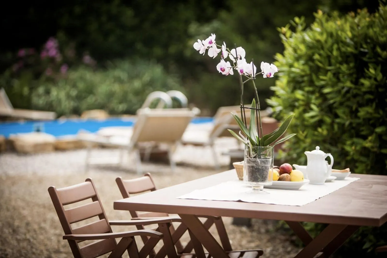 Garden in Relais Villa Olmo - Place of Charme