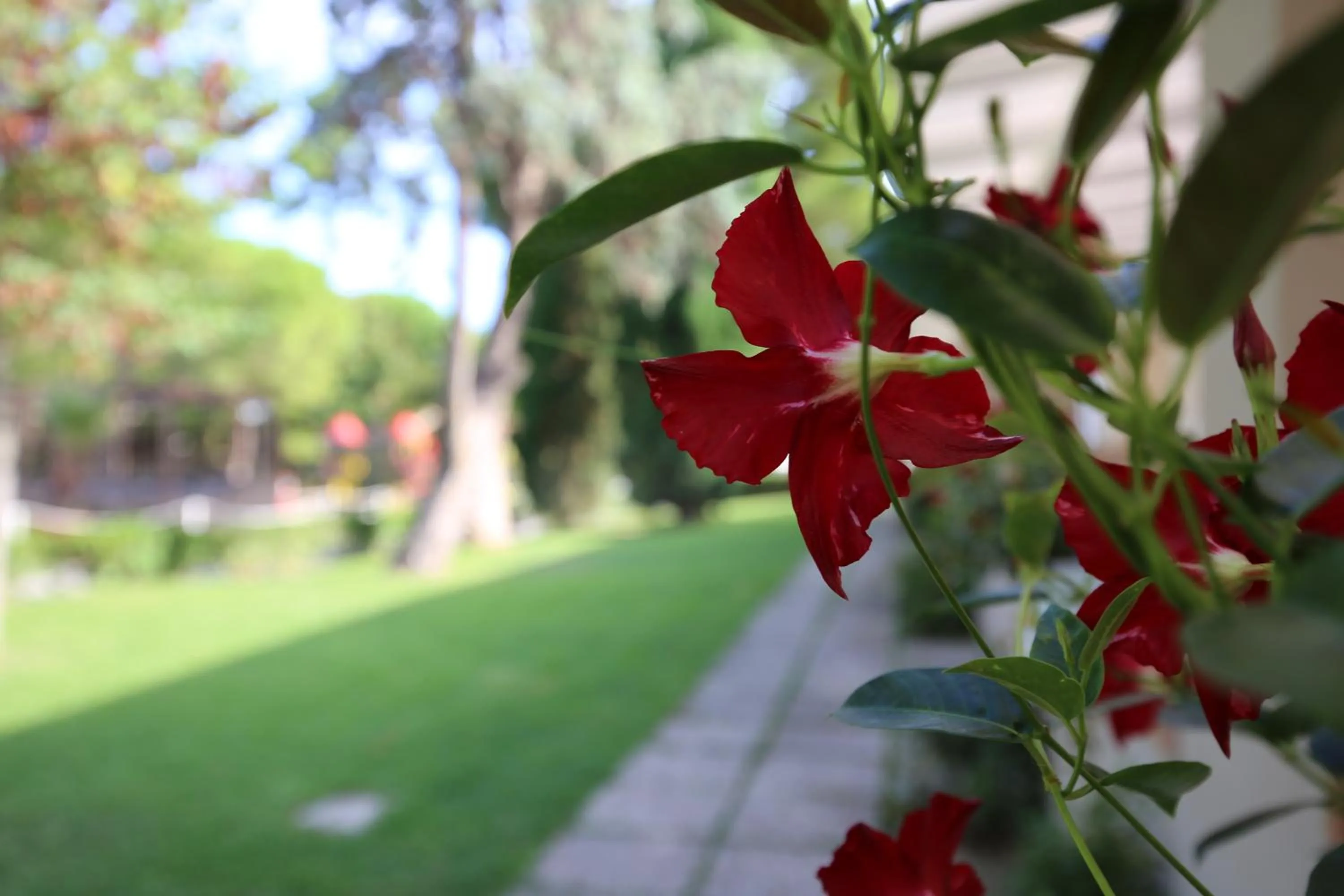 Property building in Green Garden Village