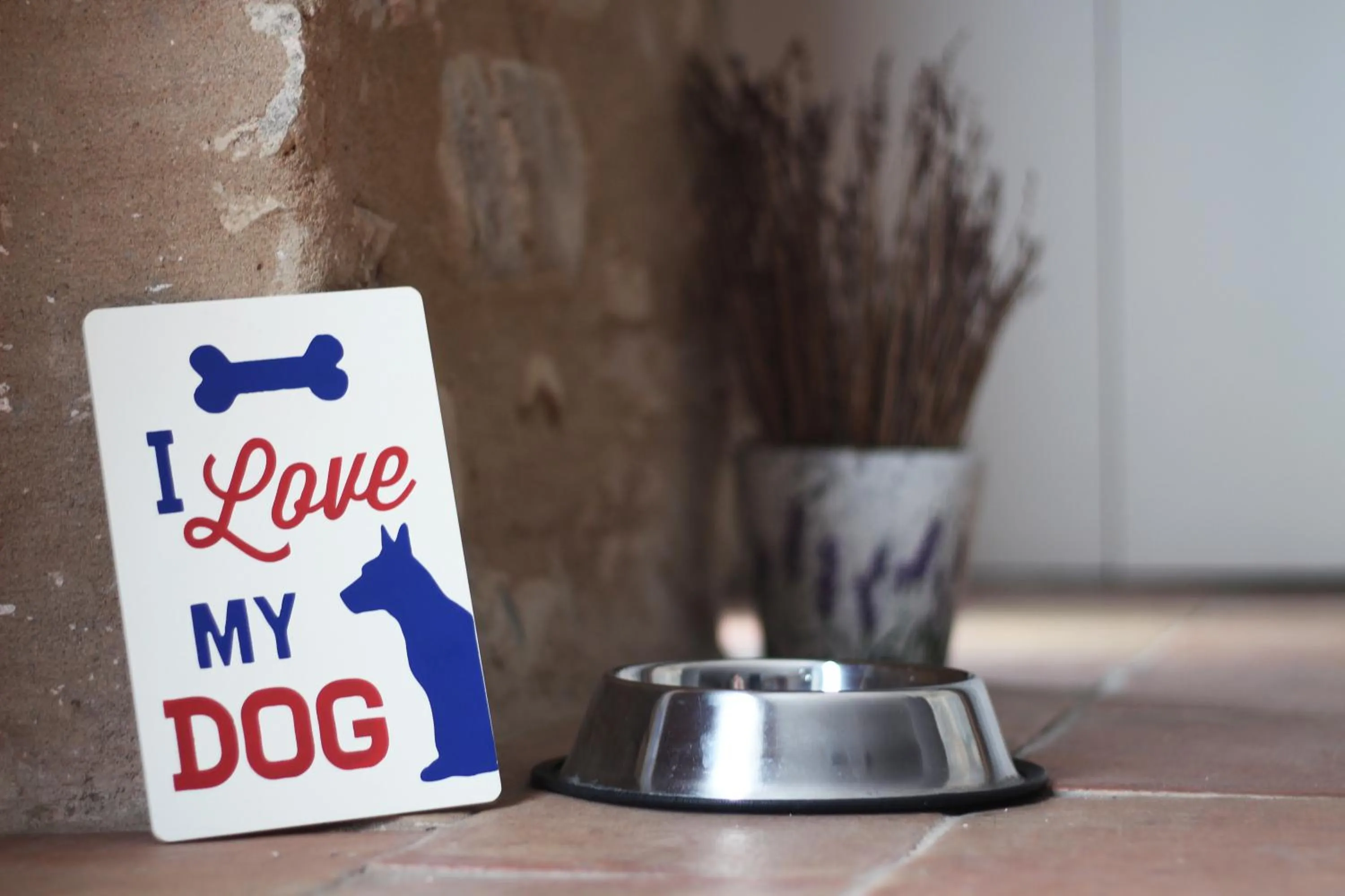 Animals in Hotel Can Bo De Pau