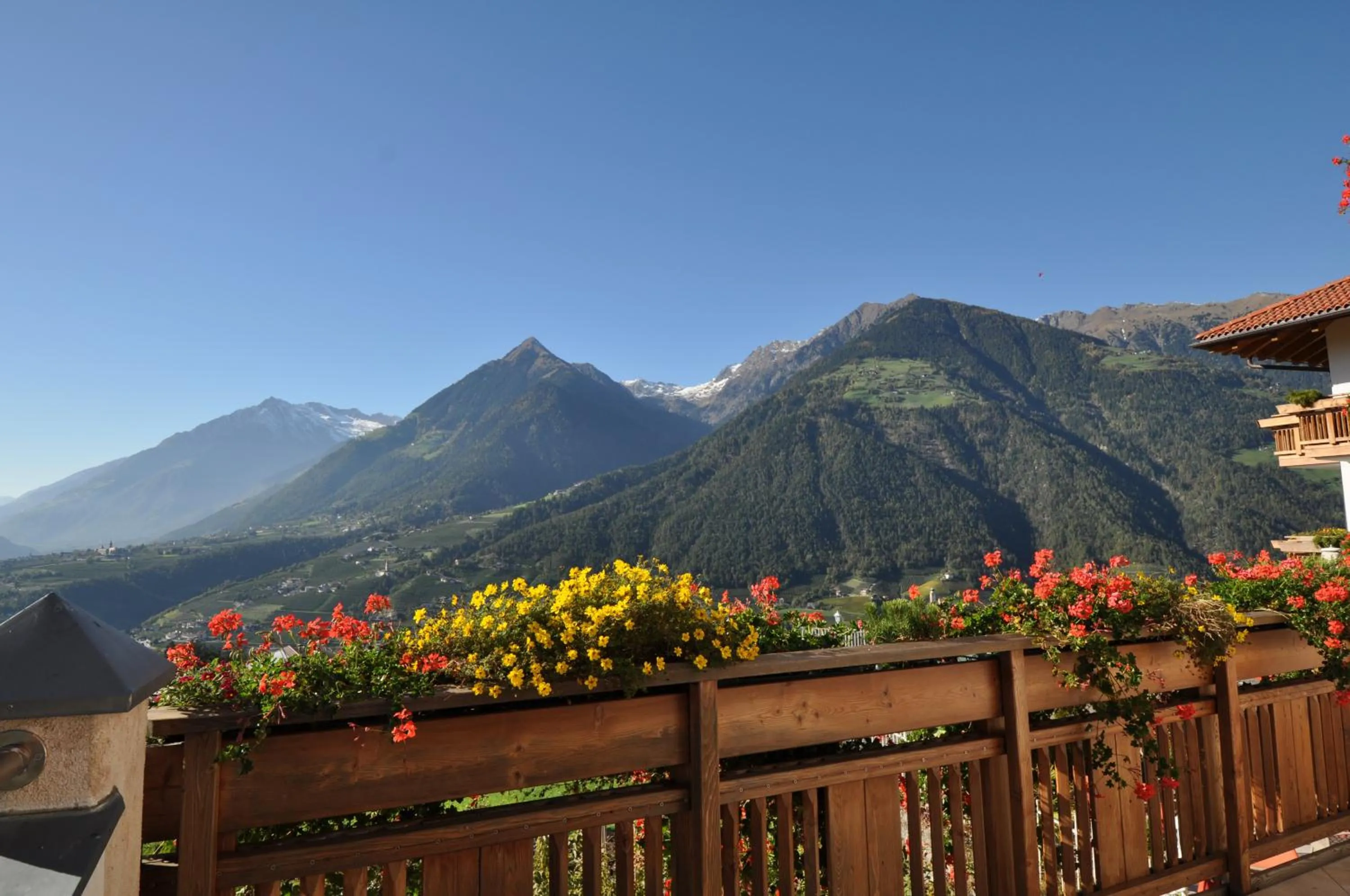View (from property/room) in Adults only Hotel Grafenstein