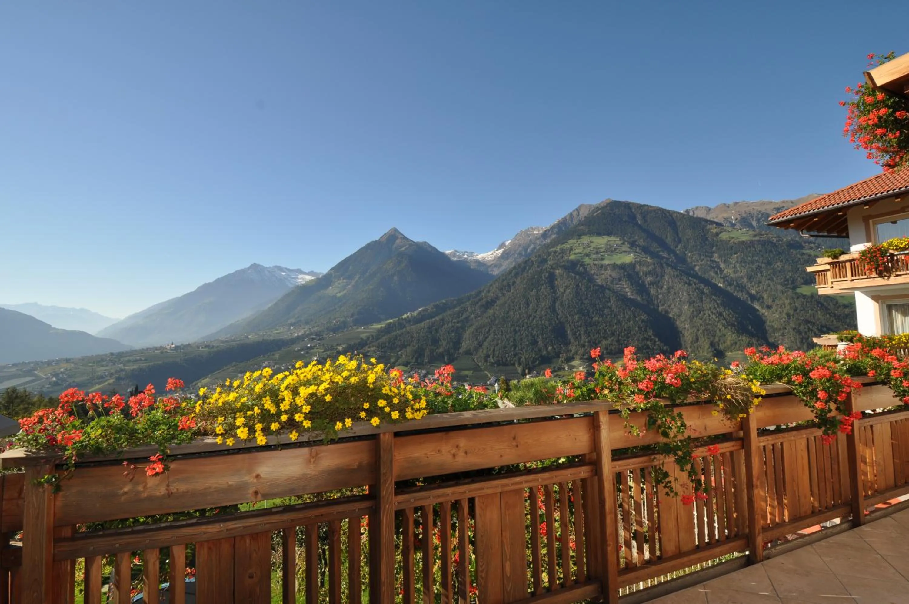 Balcony/Terrace in Adults only Hotel Grafenstein