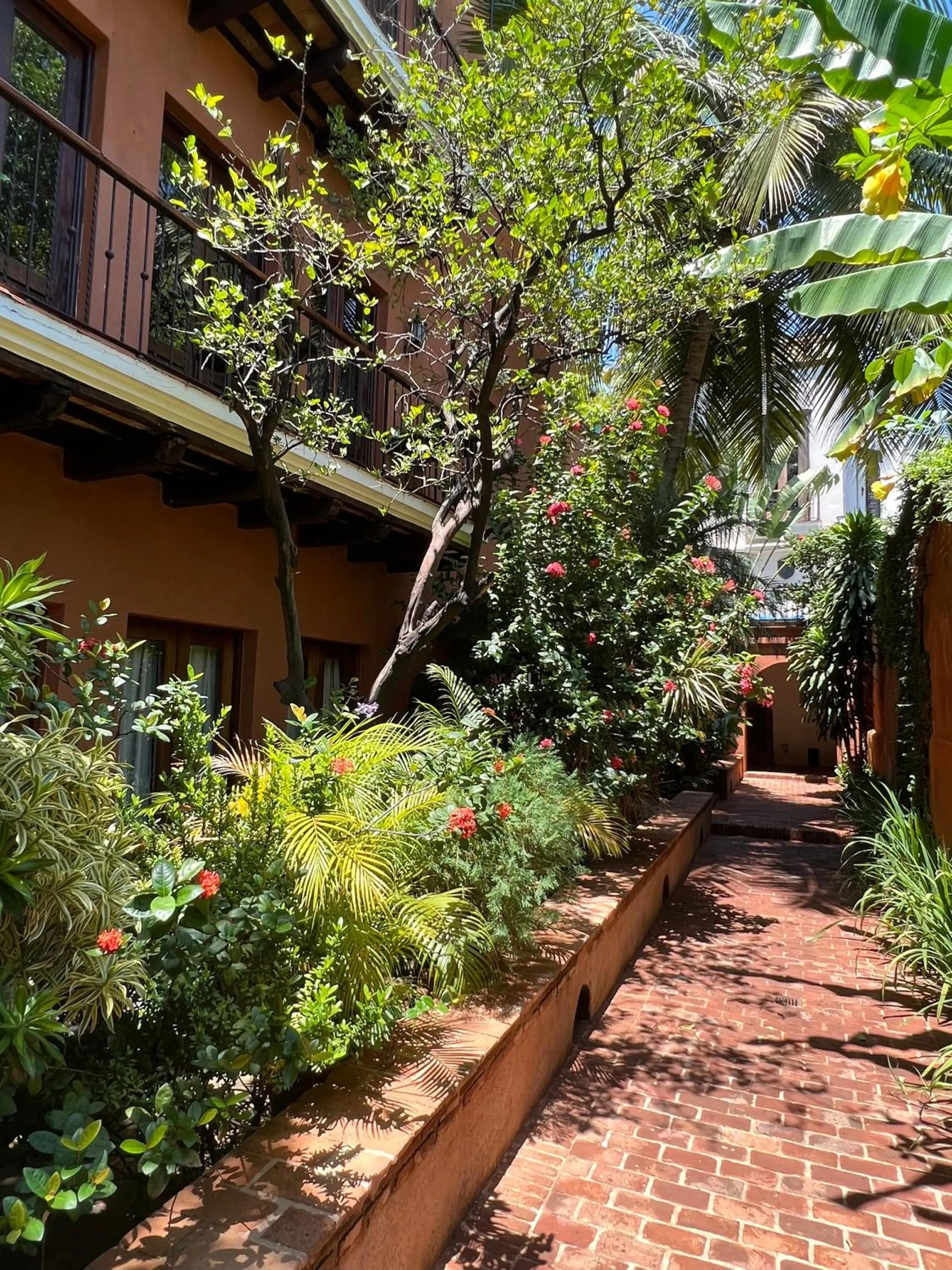 Garden in Paseo Colonial - Sanctuary #2