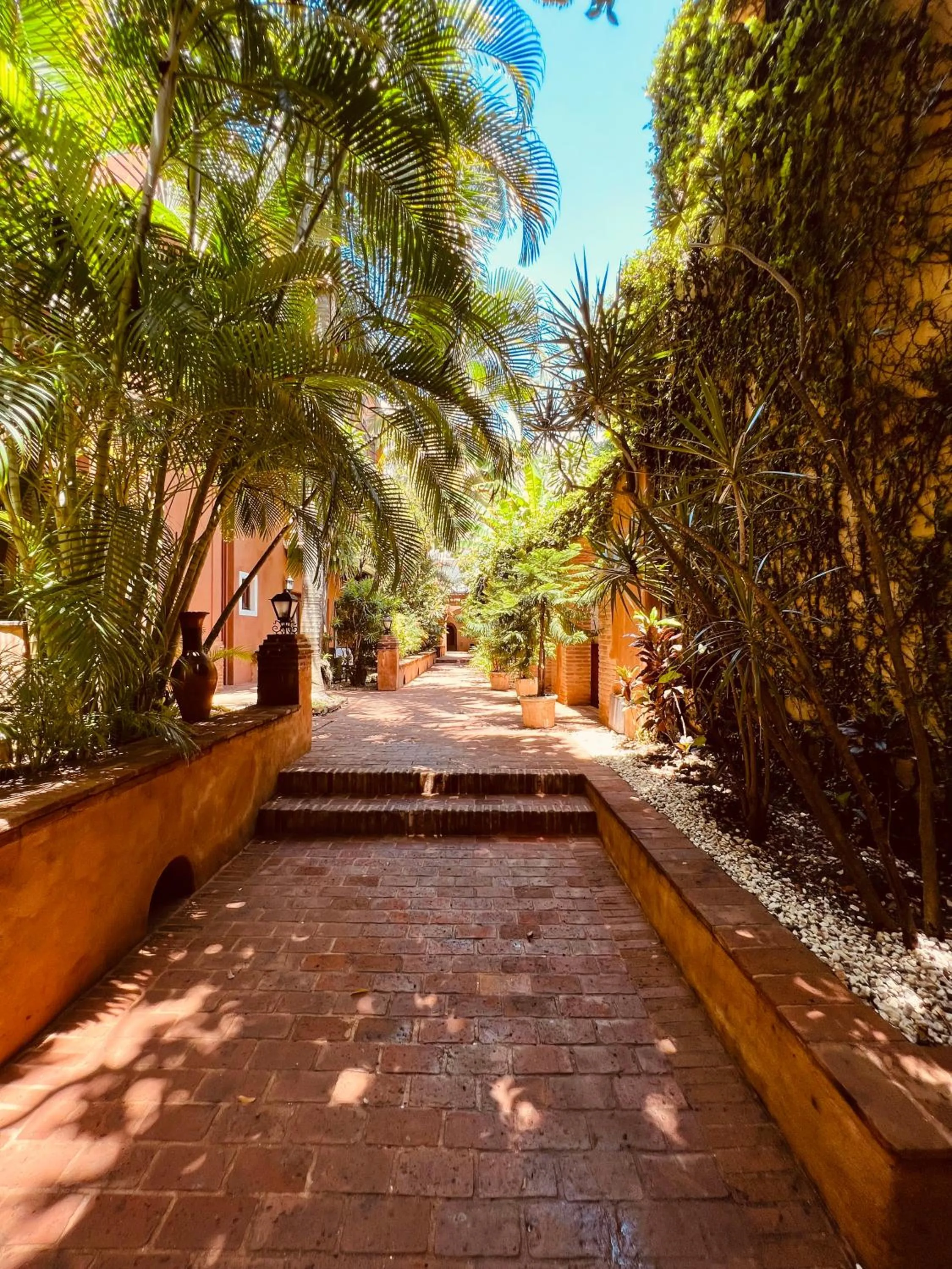 Garden in Paseo Colonial - Sanctuary #2