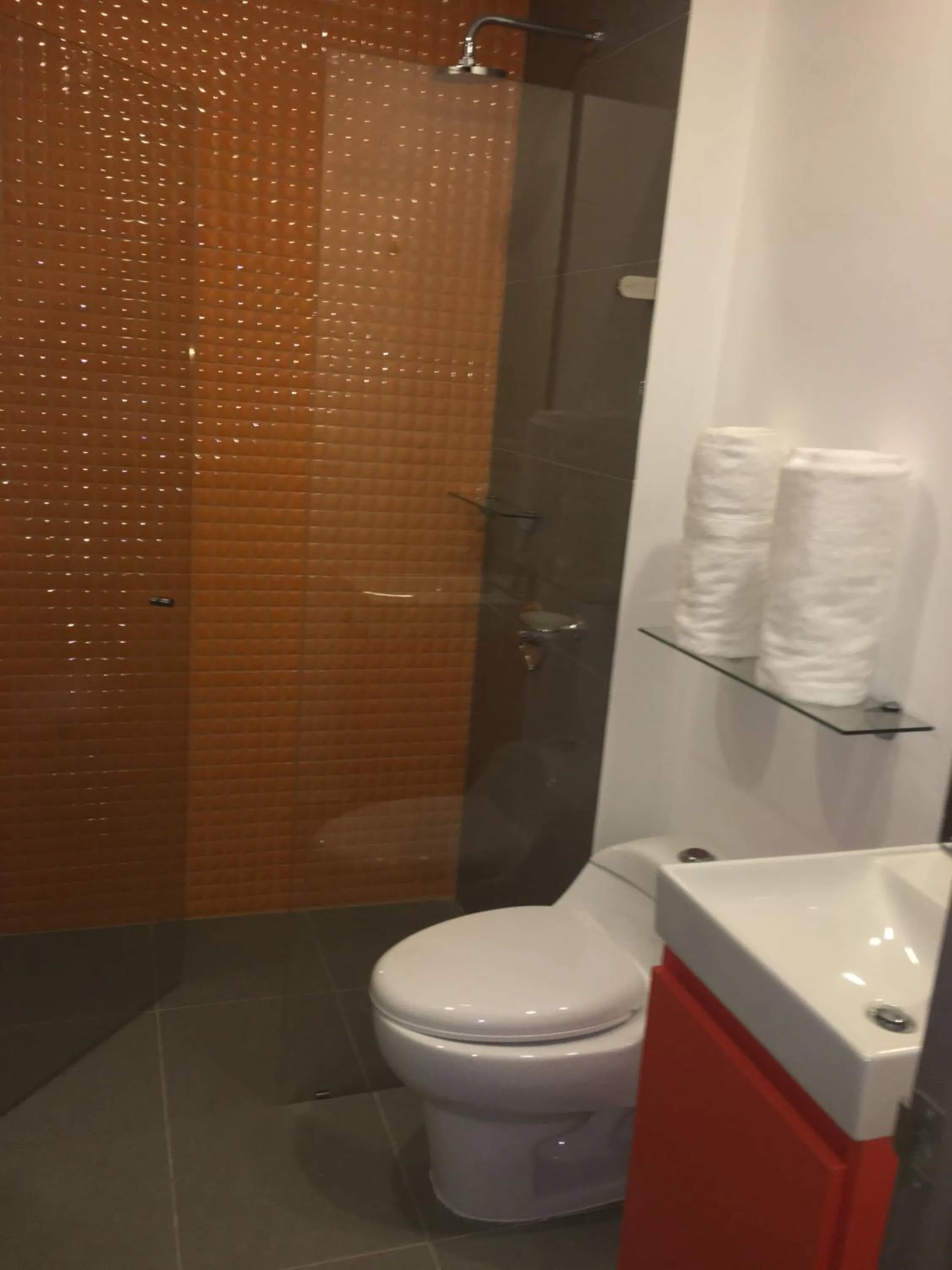 Shower in Enjoy In Bogotá