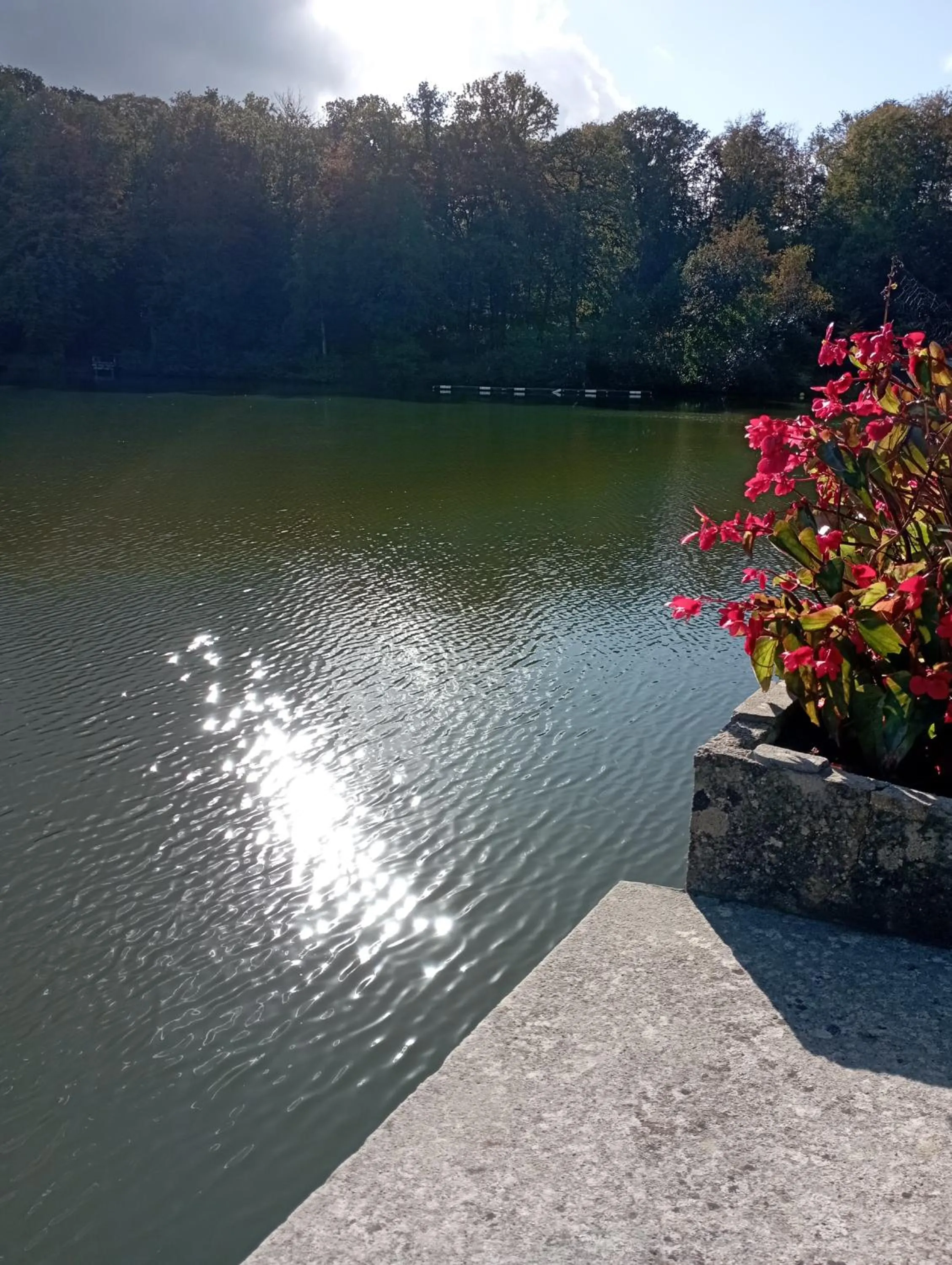 View (from property/room) in ibis les Etangs des Moines