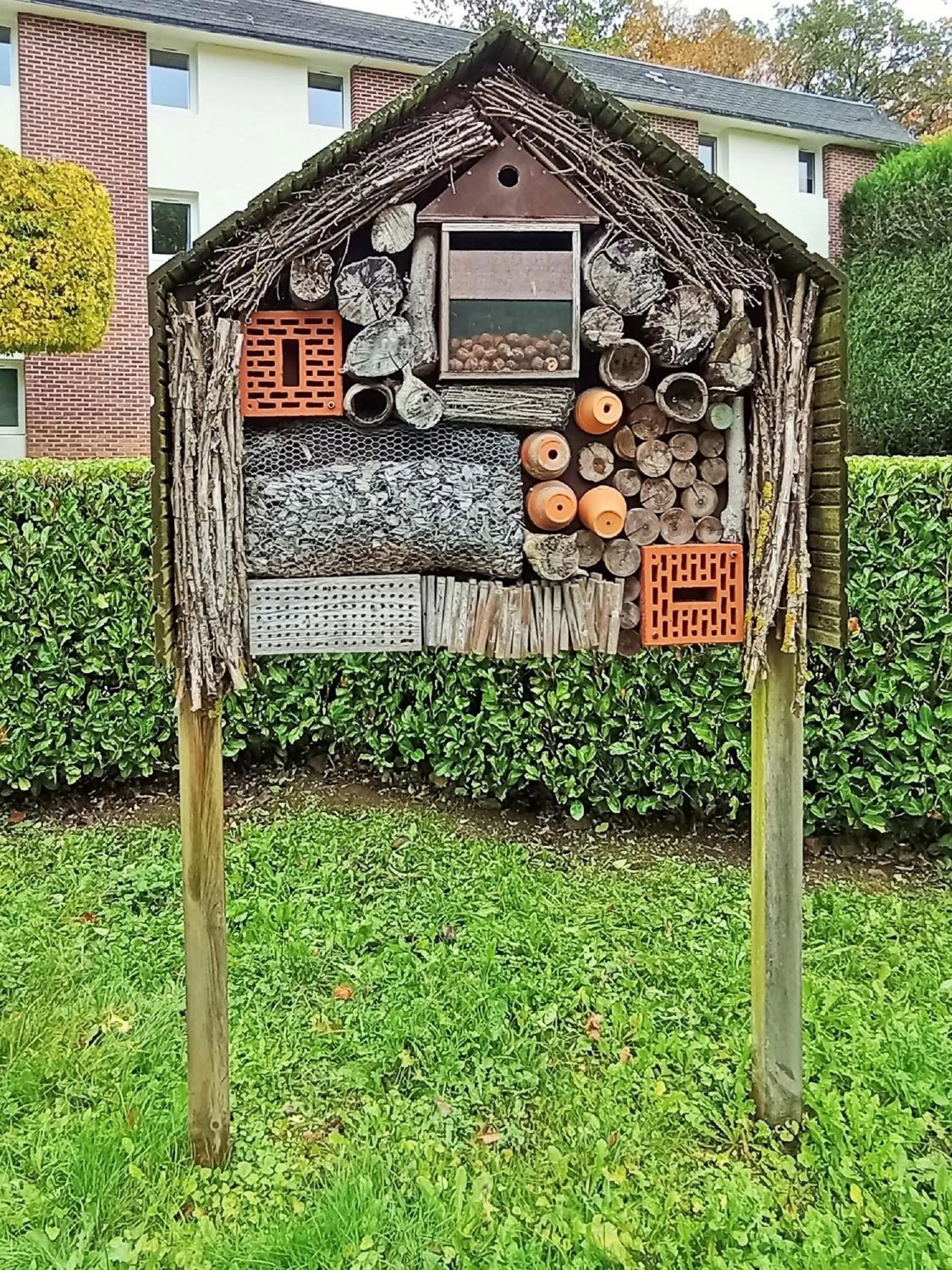 View (from property/room) in ibis les Etangs des Moines