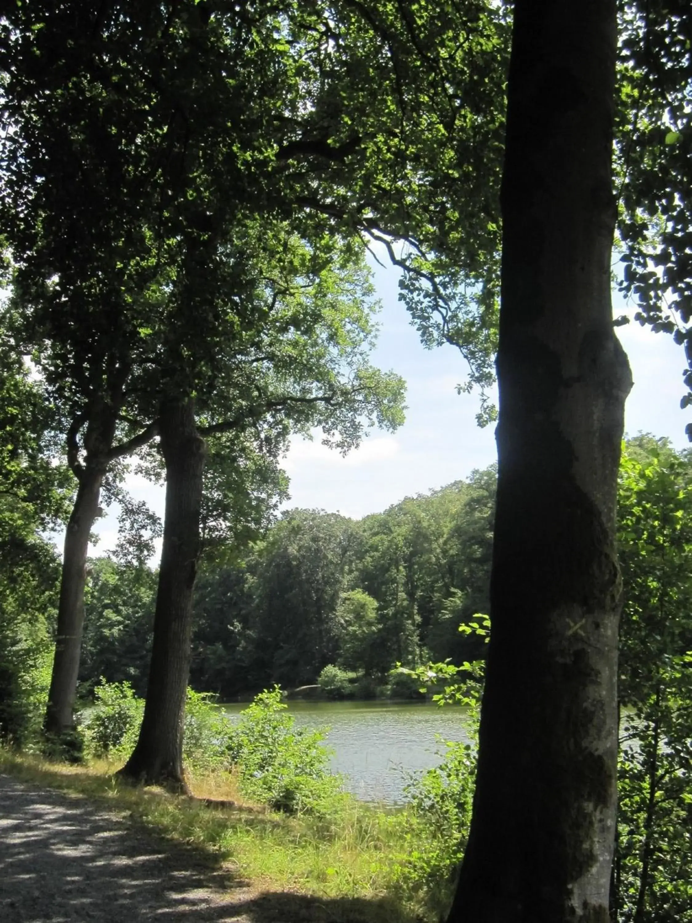 View (from property/room) in ibis les Etangs des Moines View (from property/room) in ibis les Etangs des Moines