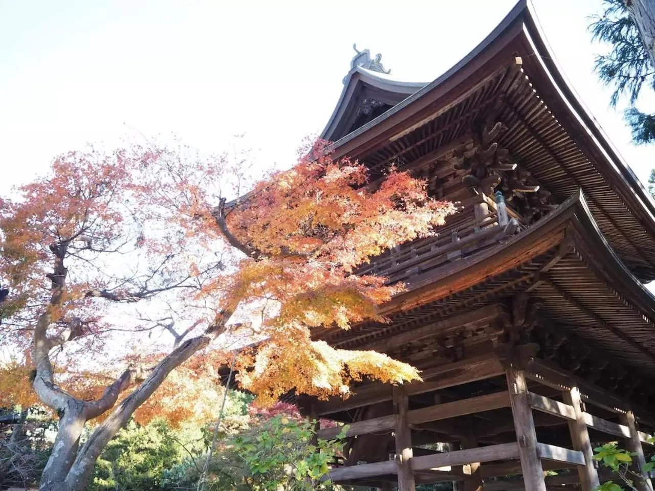 Nearby landmark in Villa Kamakura
