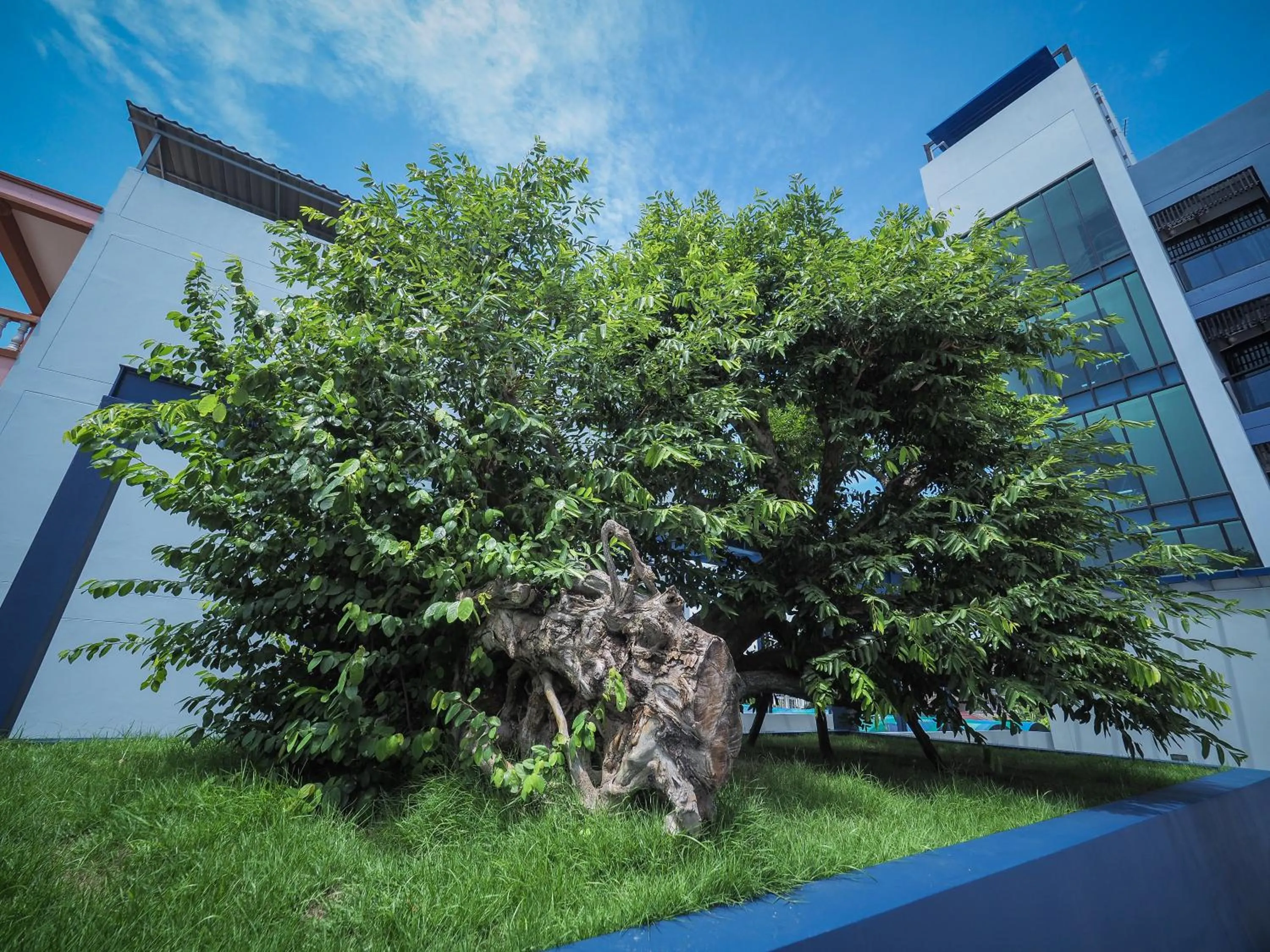 Property building in Tassana Place