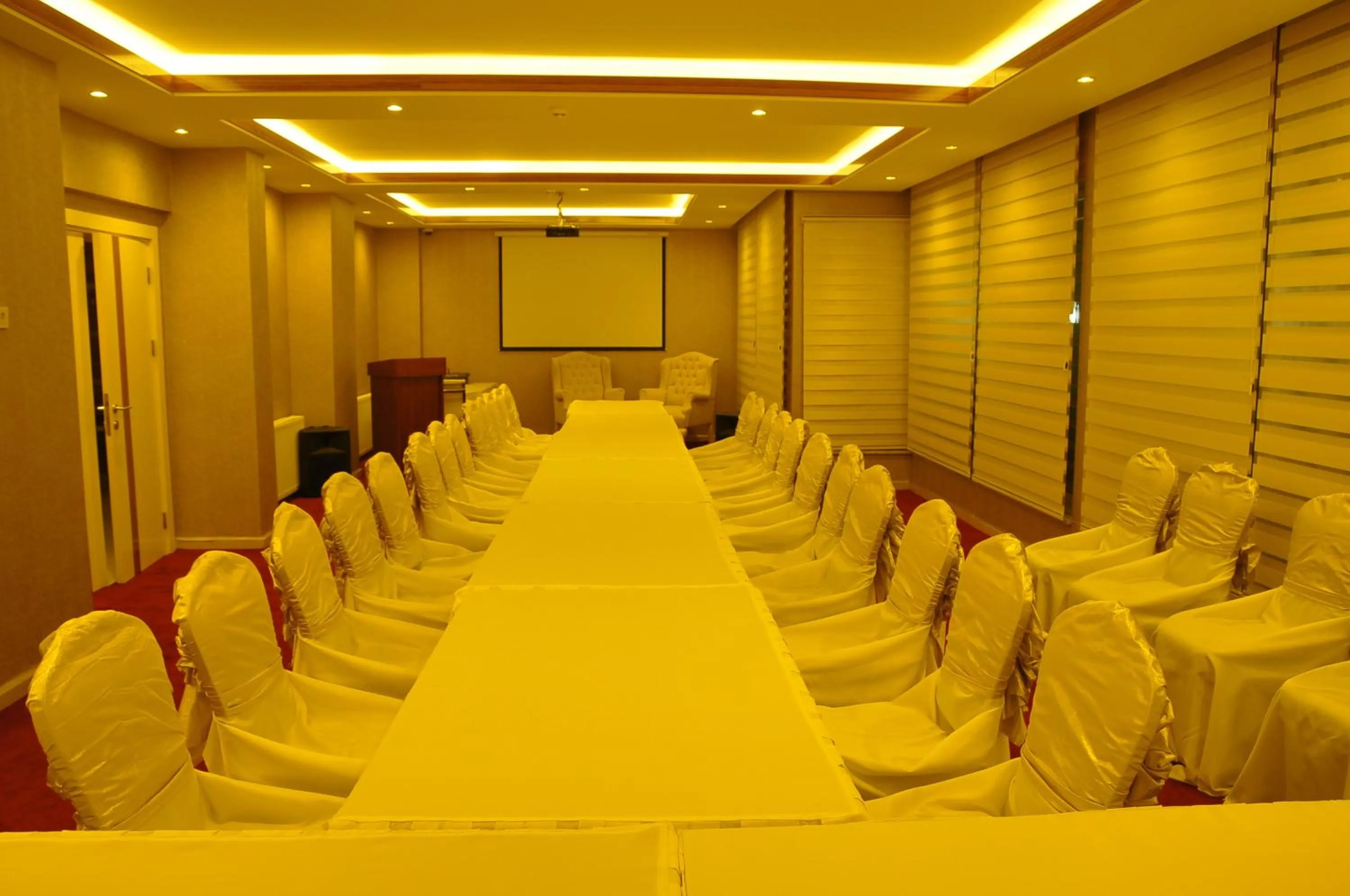 Meeting/conference room in Hotel Izgi Turhan