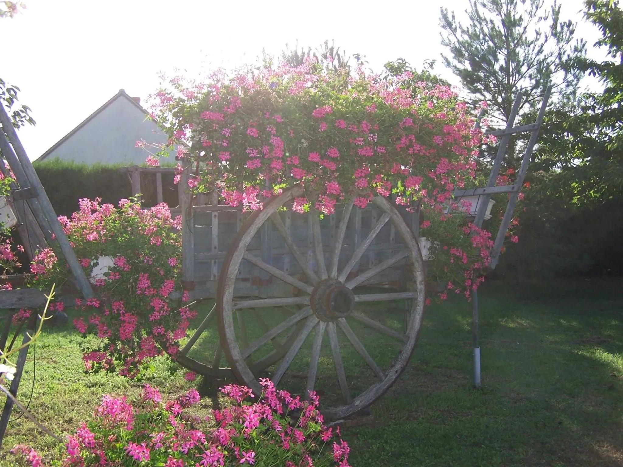 Logis Hôtel Restaurant LE VIEUX FUSIL