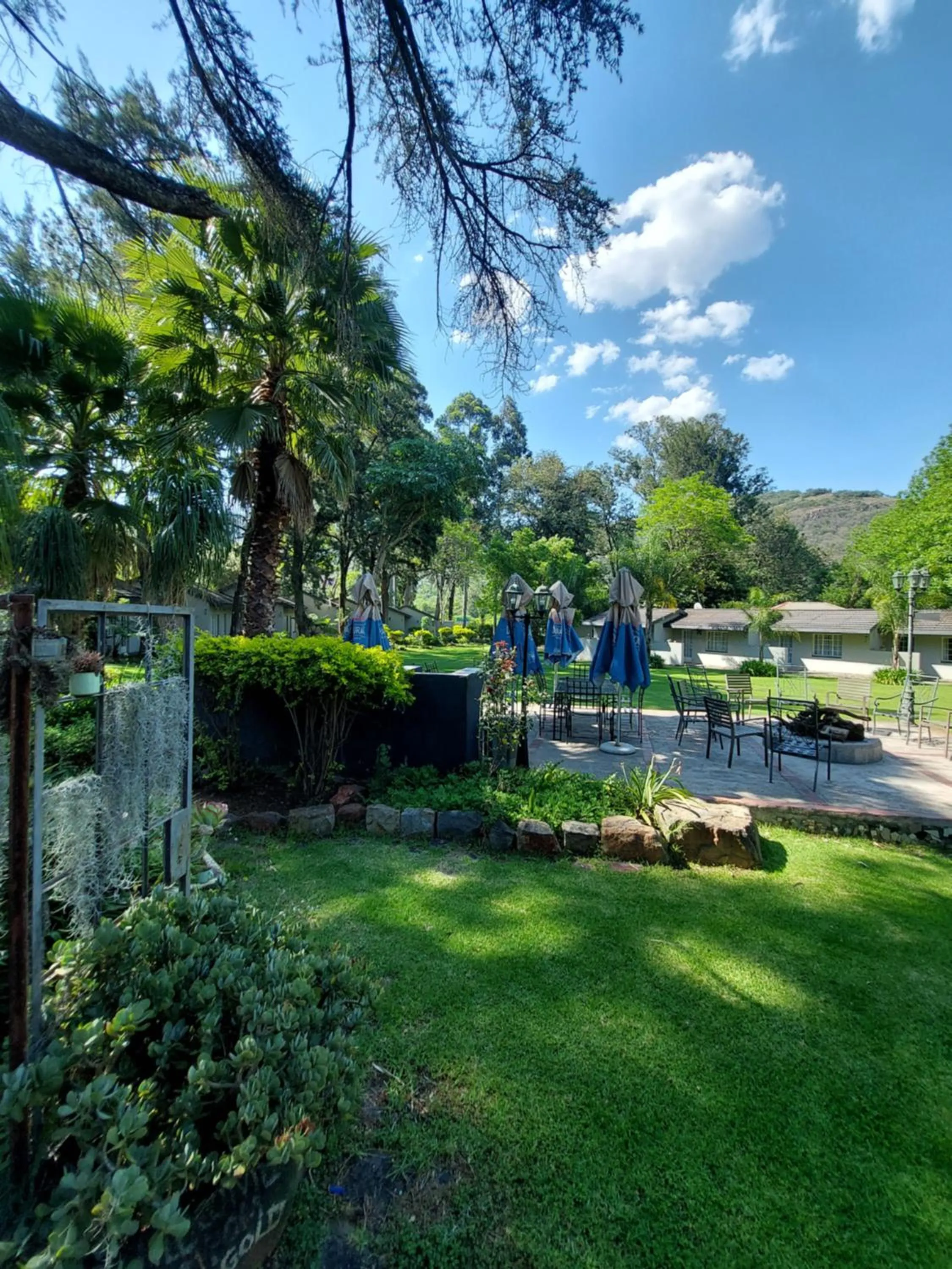 Spring in Wayside Lodge