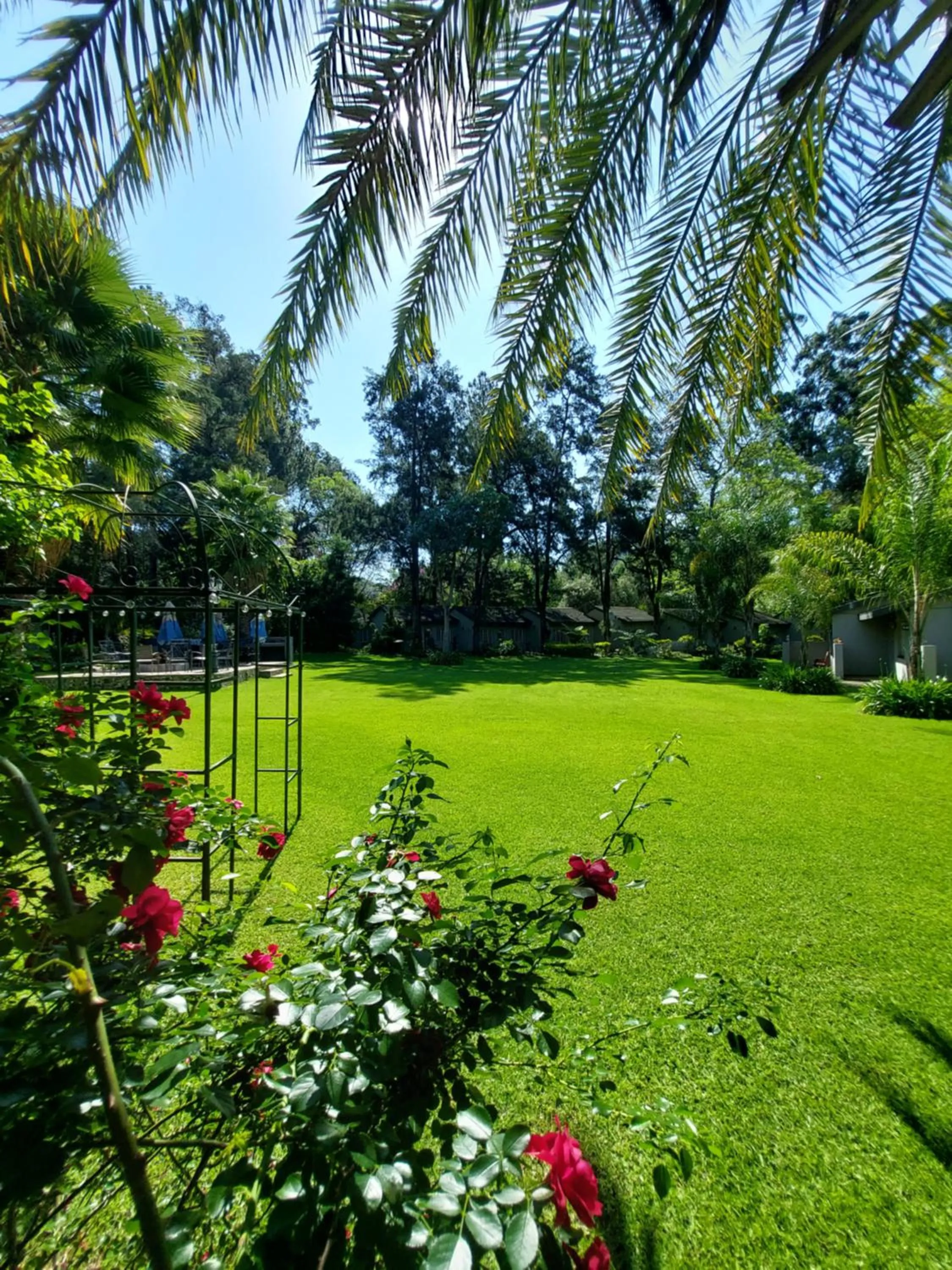 Spring in Wayside Lodge