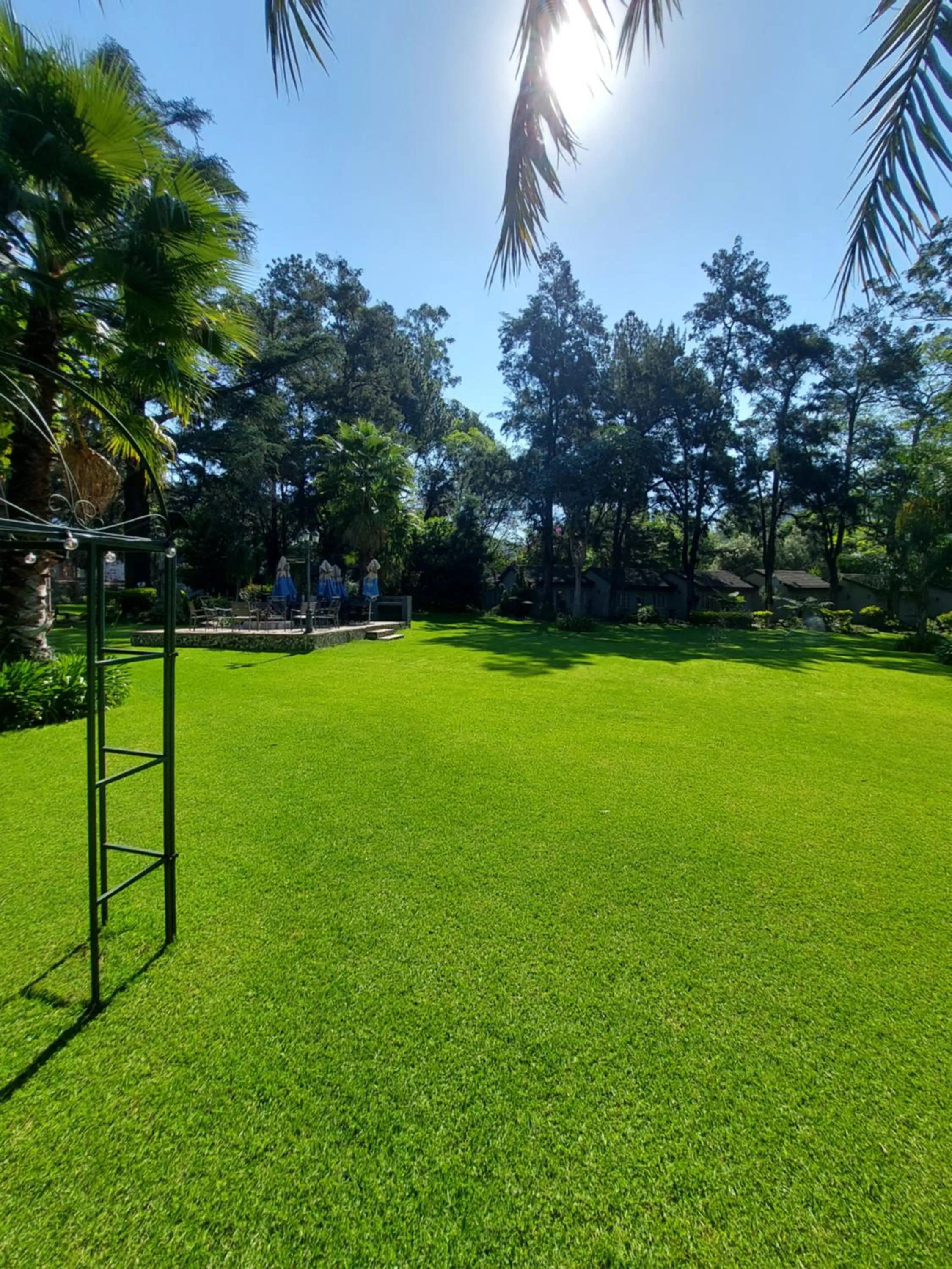 Spring in Wayside Lodge