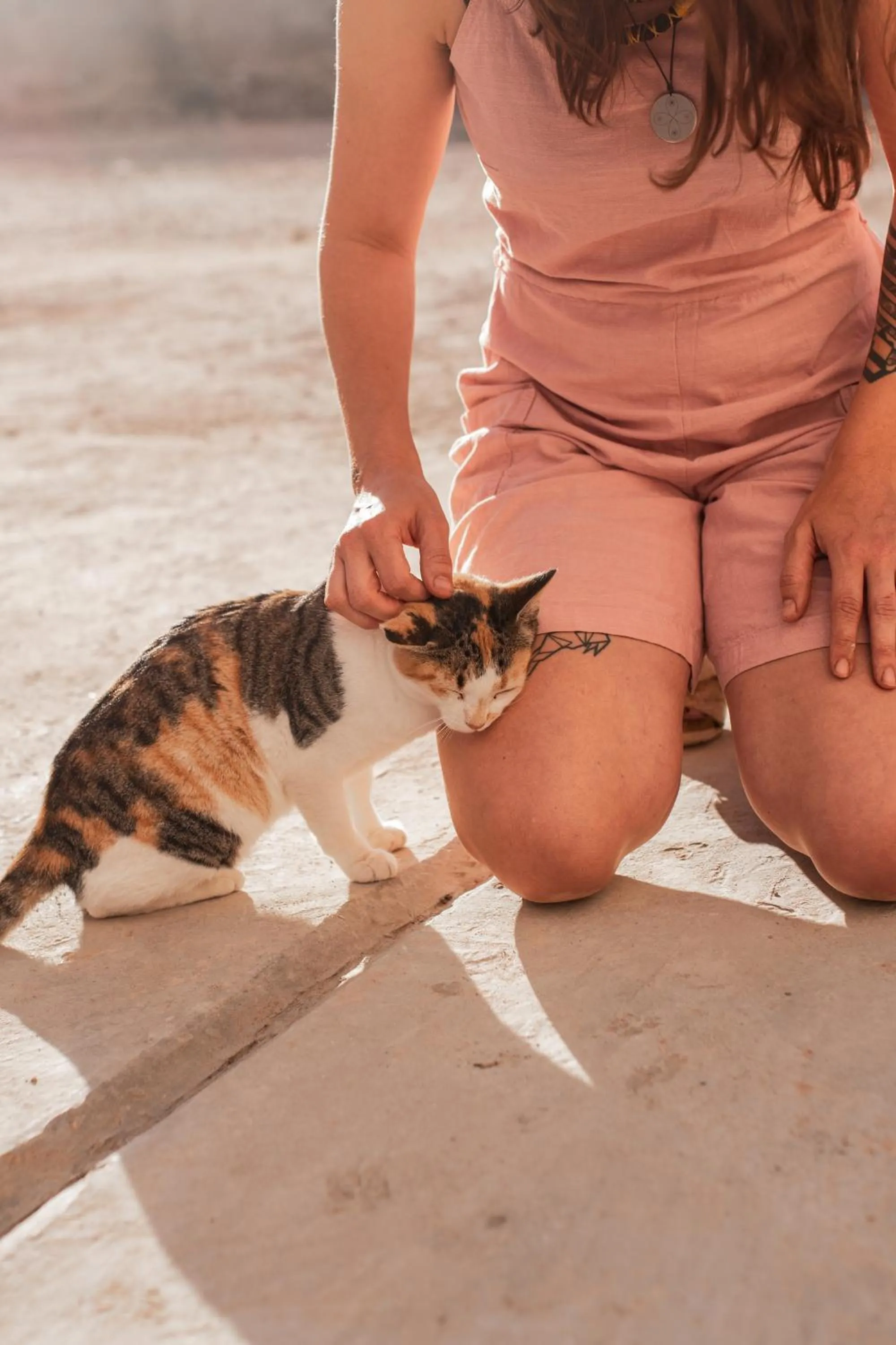 Pets in Maison Darna Guesthouse