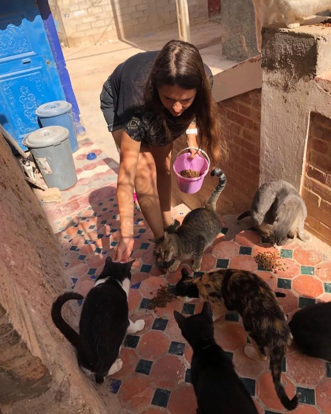 Pets in Maison Darna Guesthouse