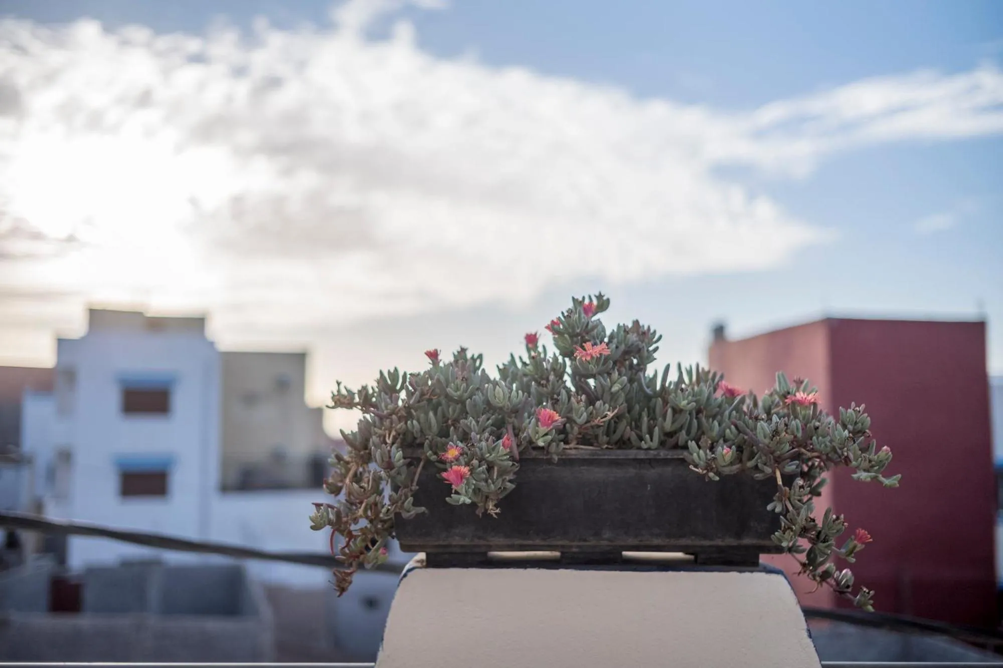 Balcony/Terrace in Maison Darna Guesthouse